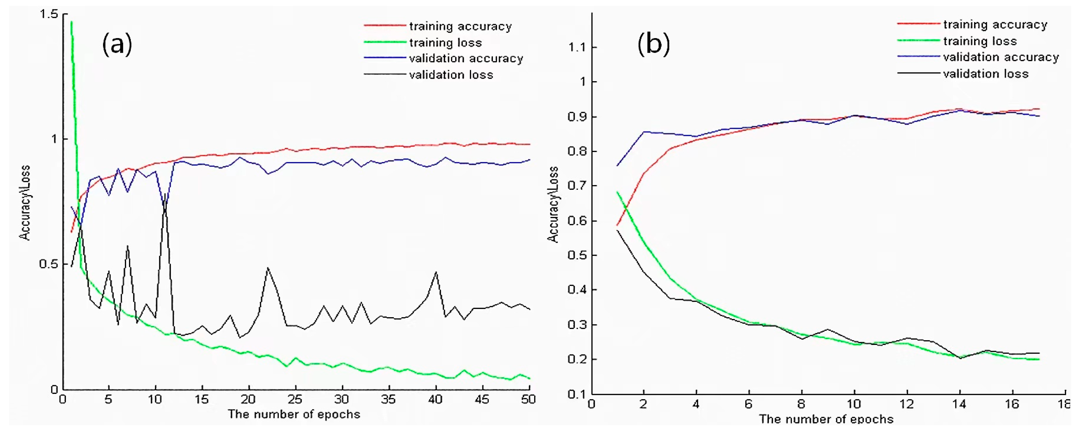 Diagnostics 13 02002 g007