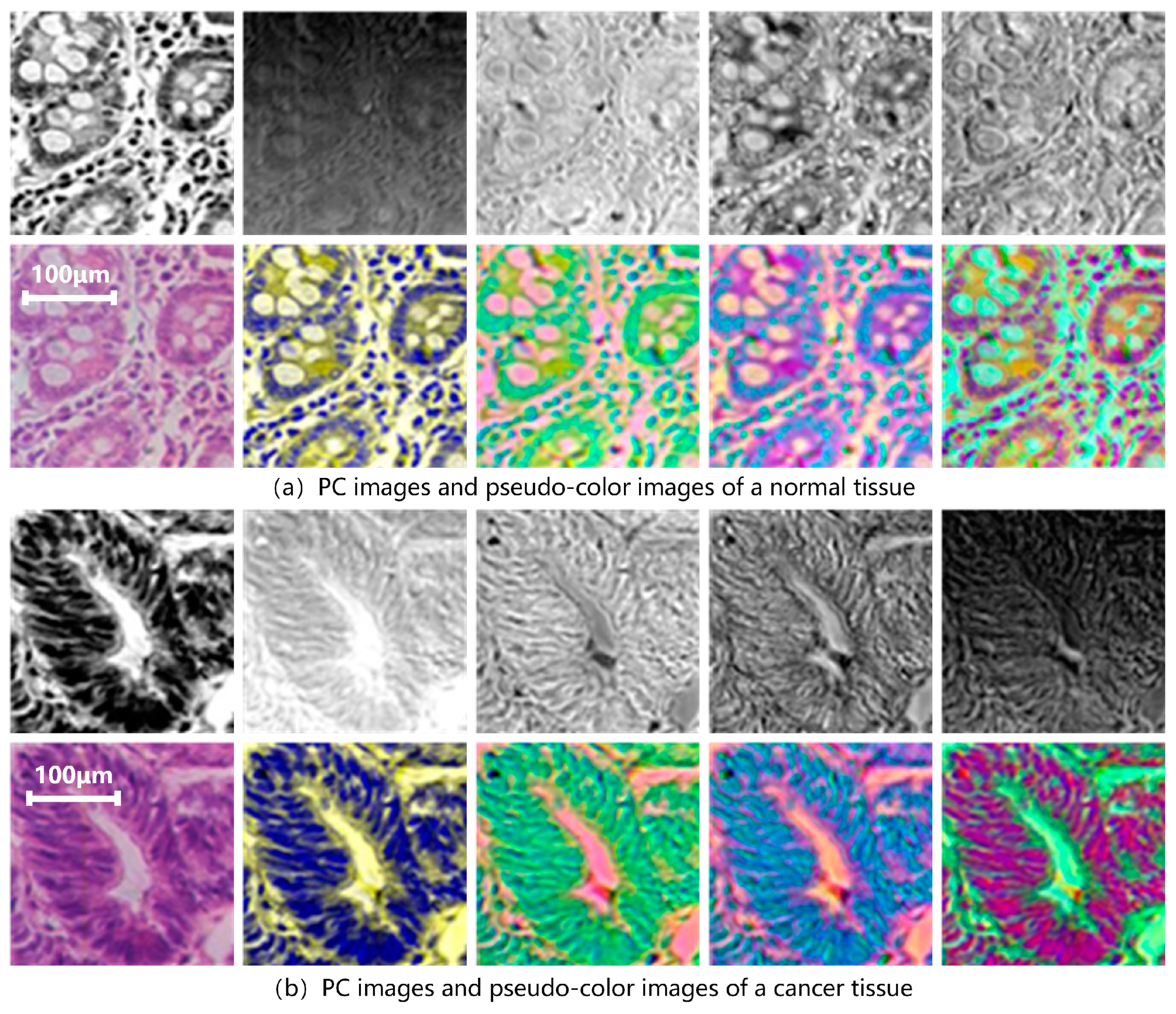 Diagnostics 13 02002 g008