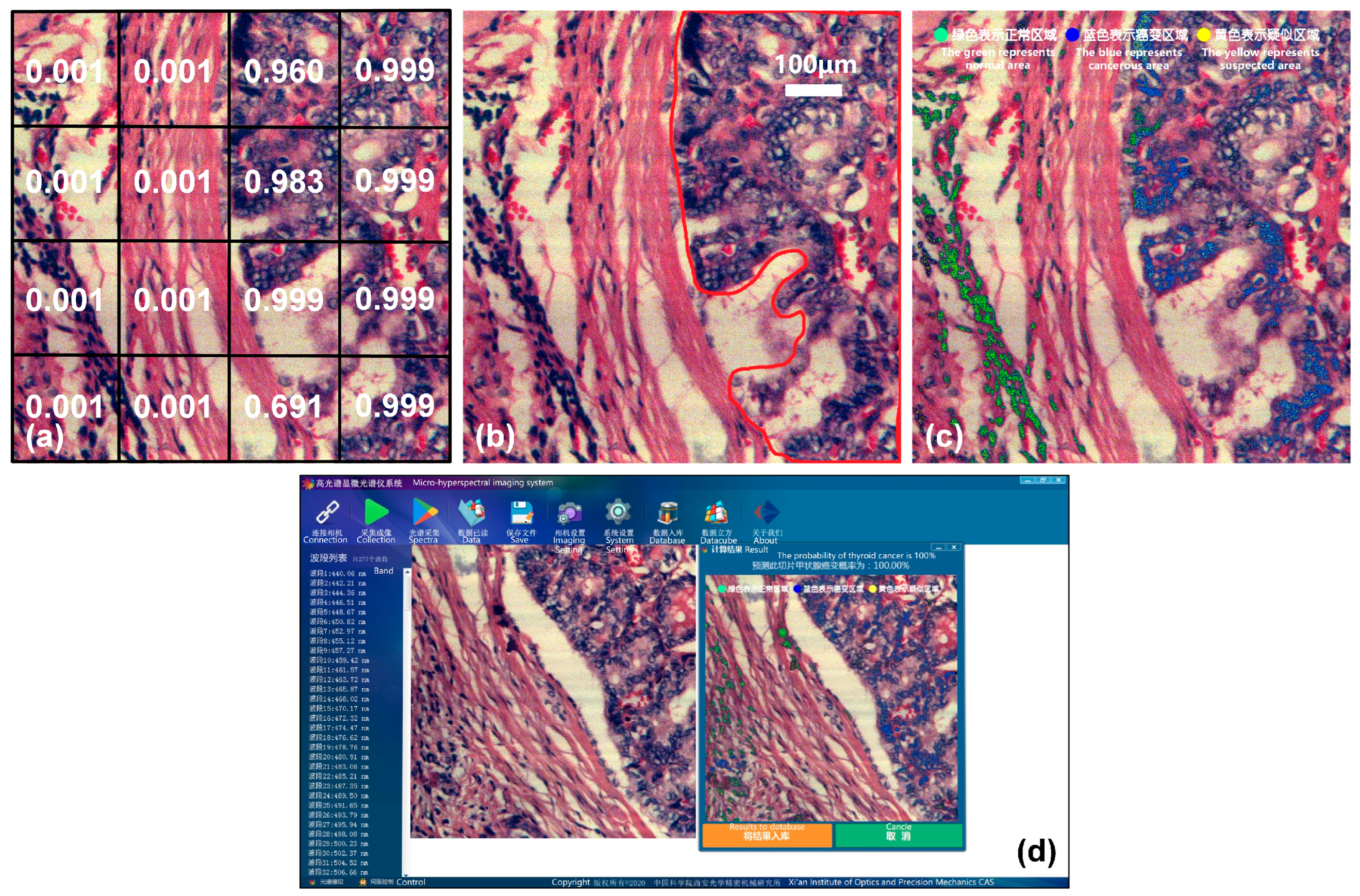 Diagnostics 13 02002 g013