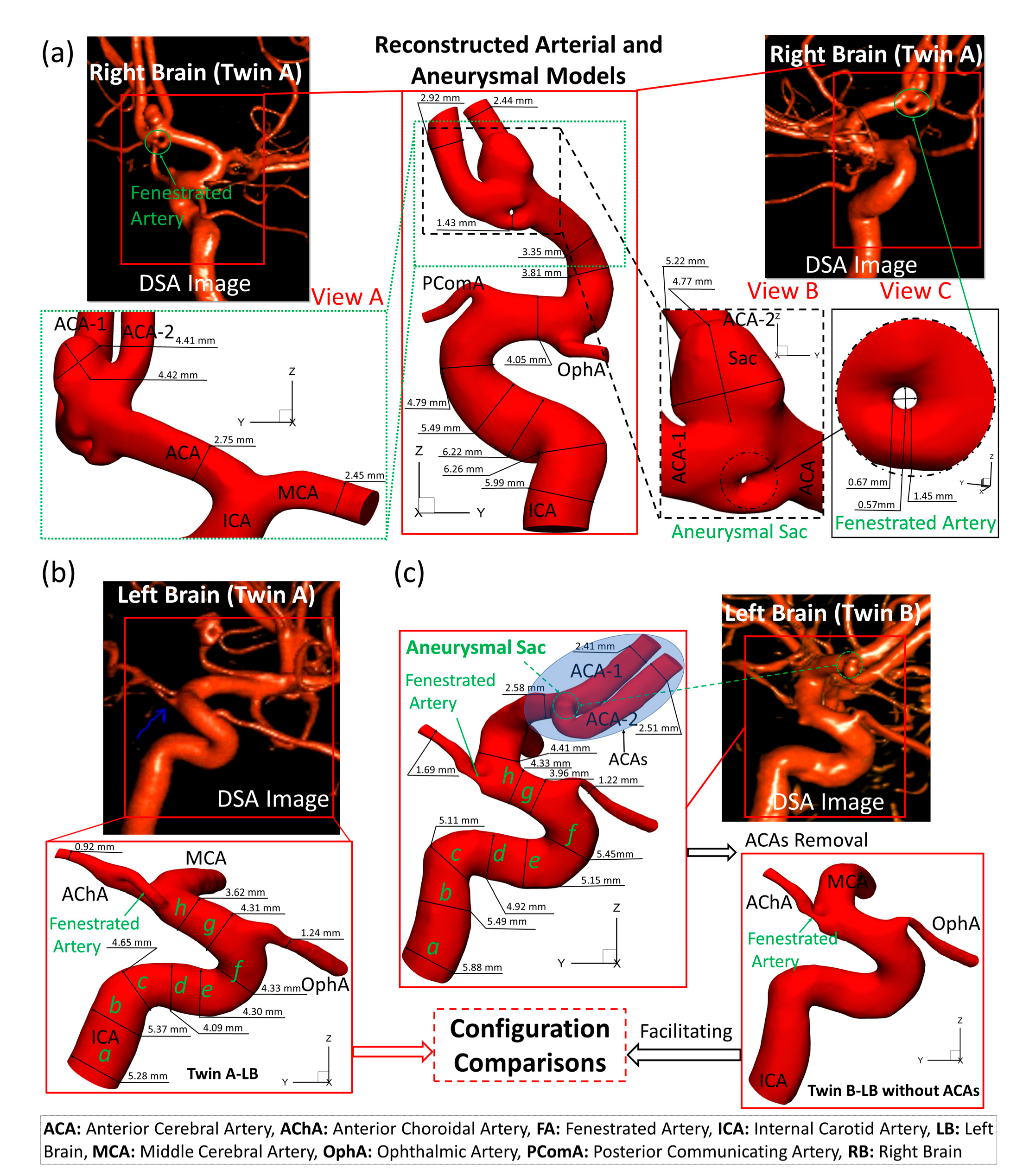 Diagnostics 13 02004 g003