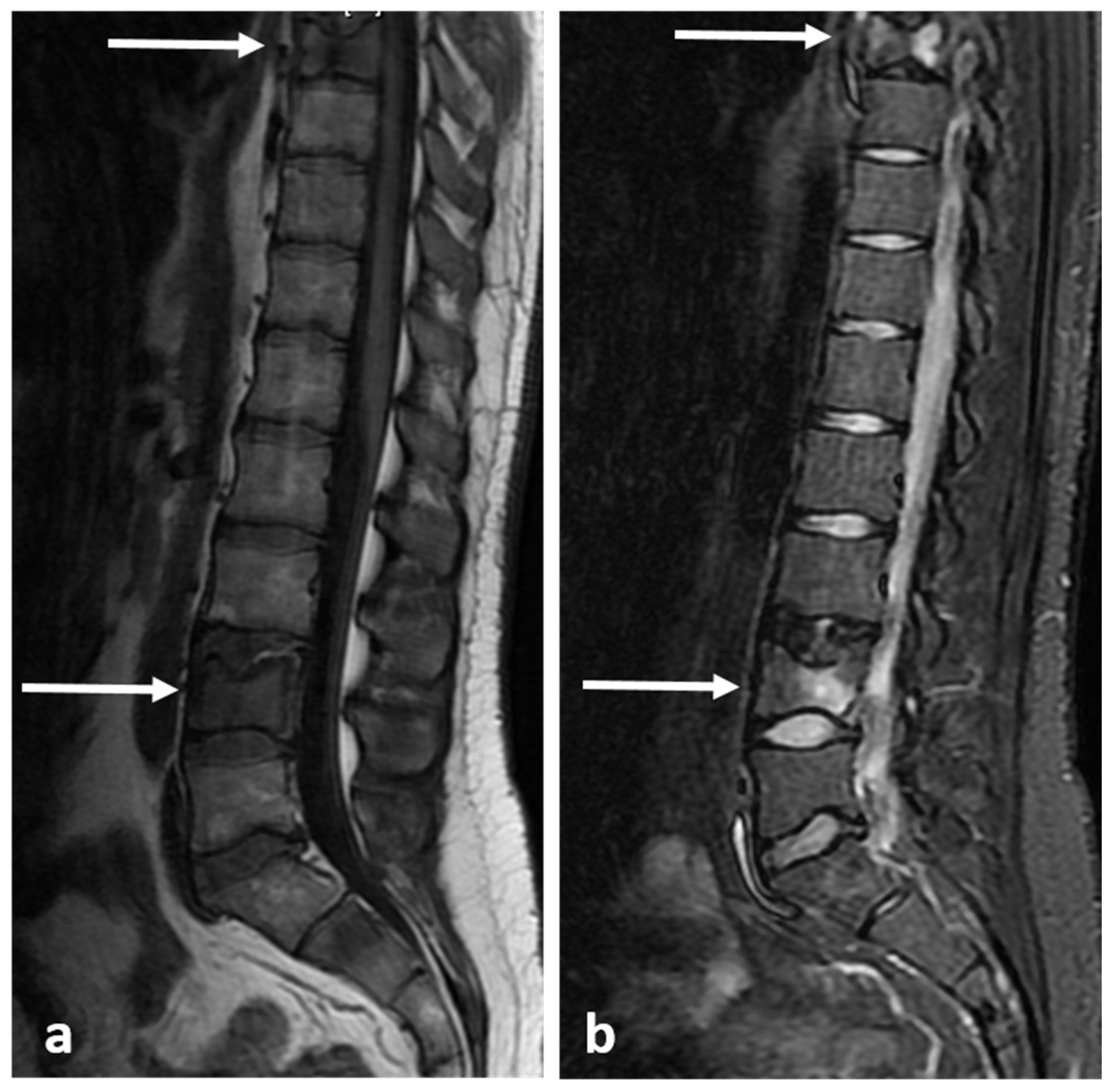 Diagnostics 13 02006 g009
