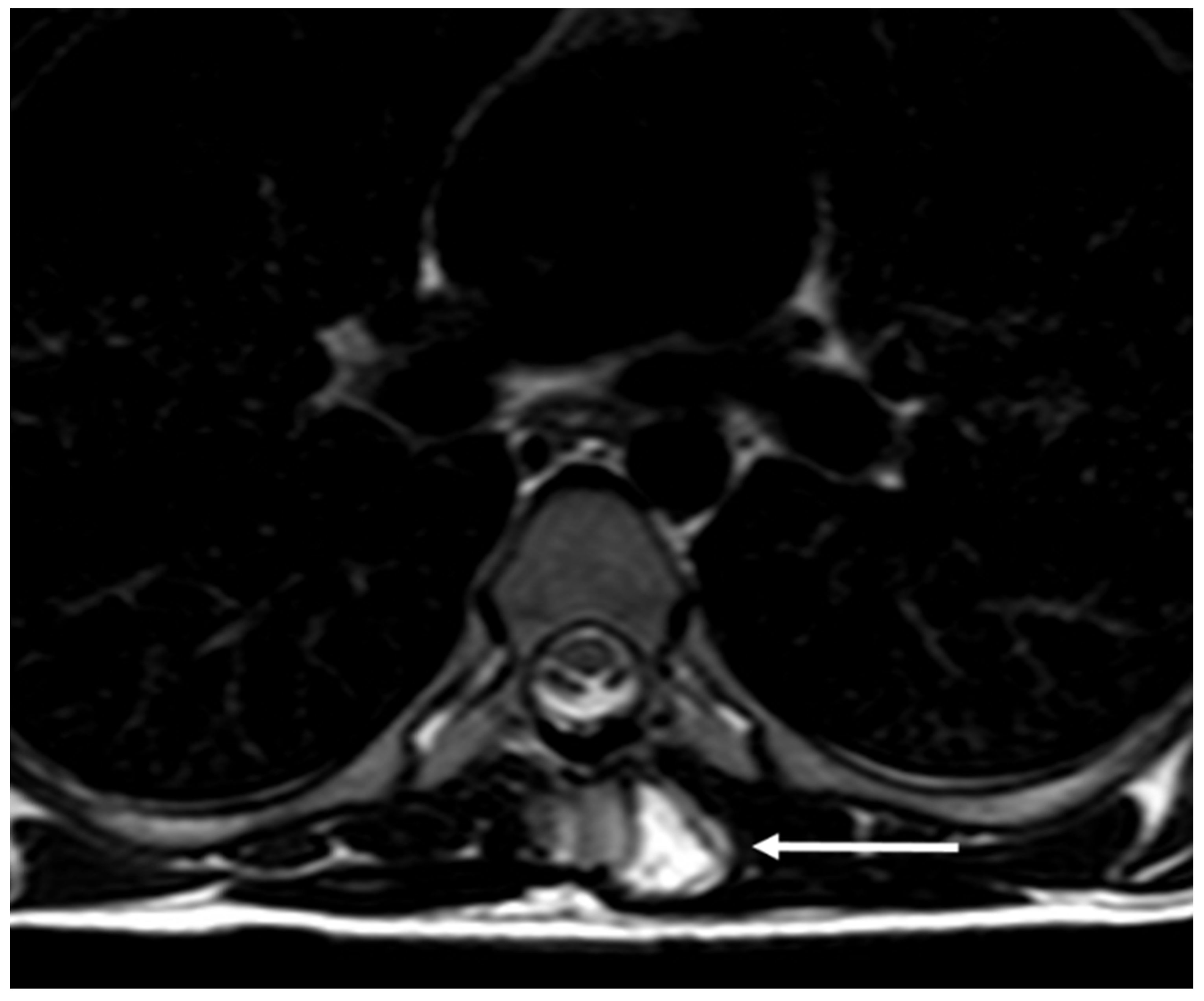 Diagnostics 13 02006 g010