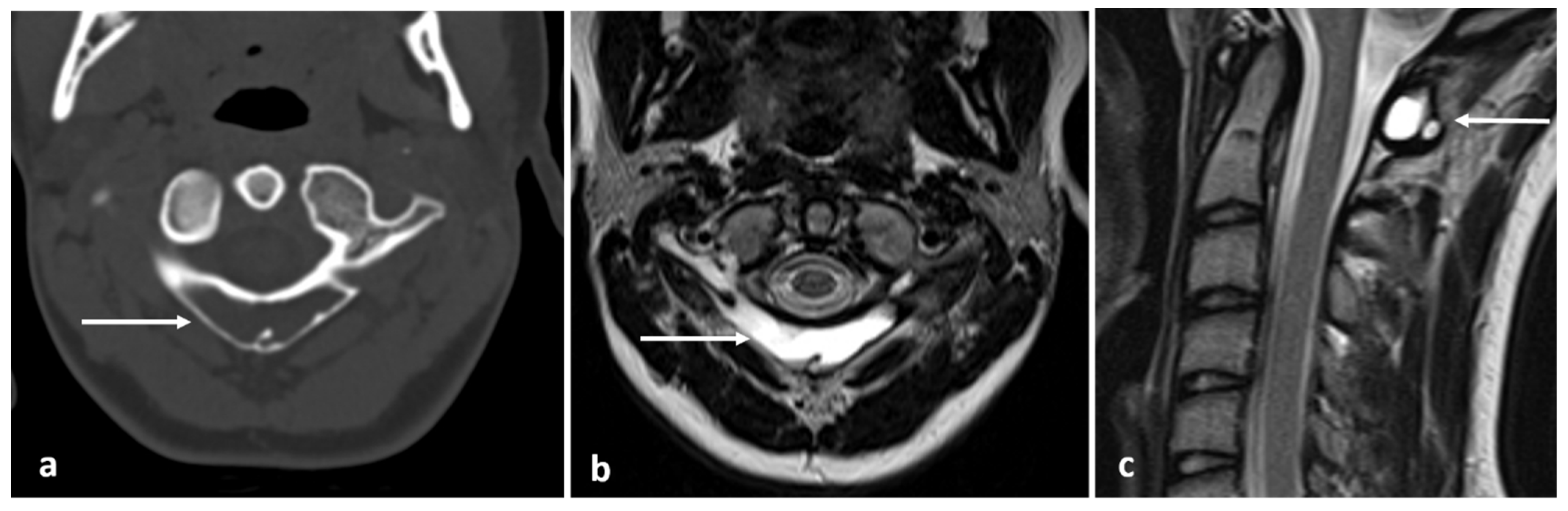 Diagnostics 13 02006 g019
