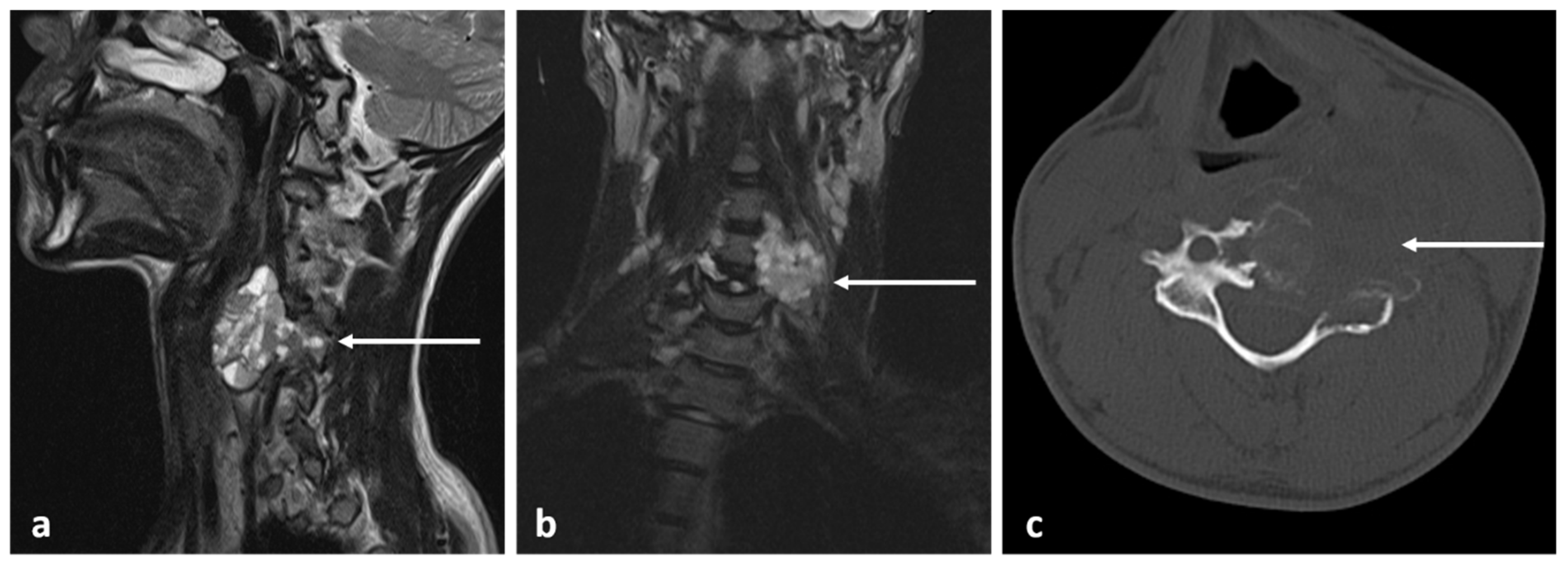 Diagnostics 13 02006 g020