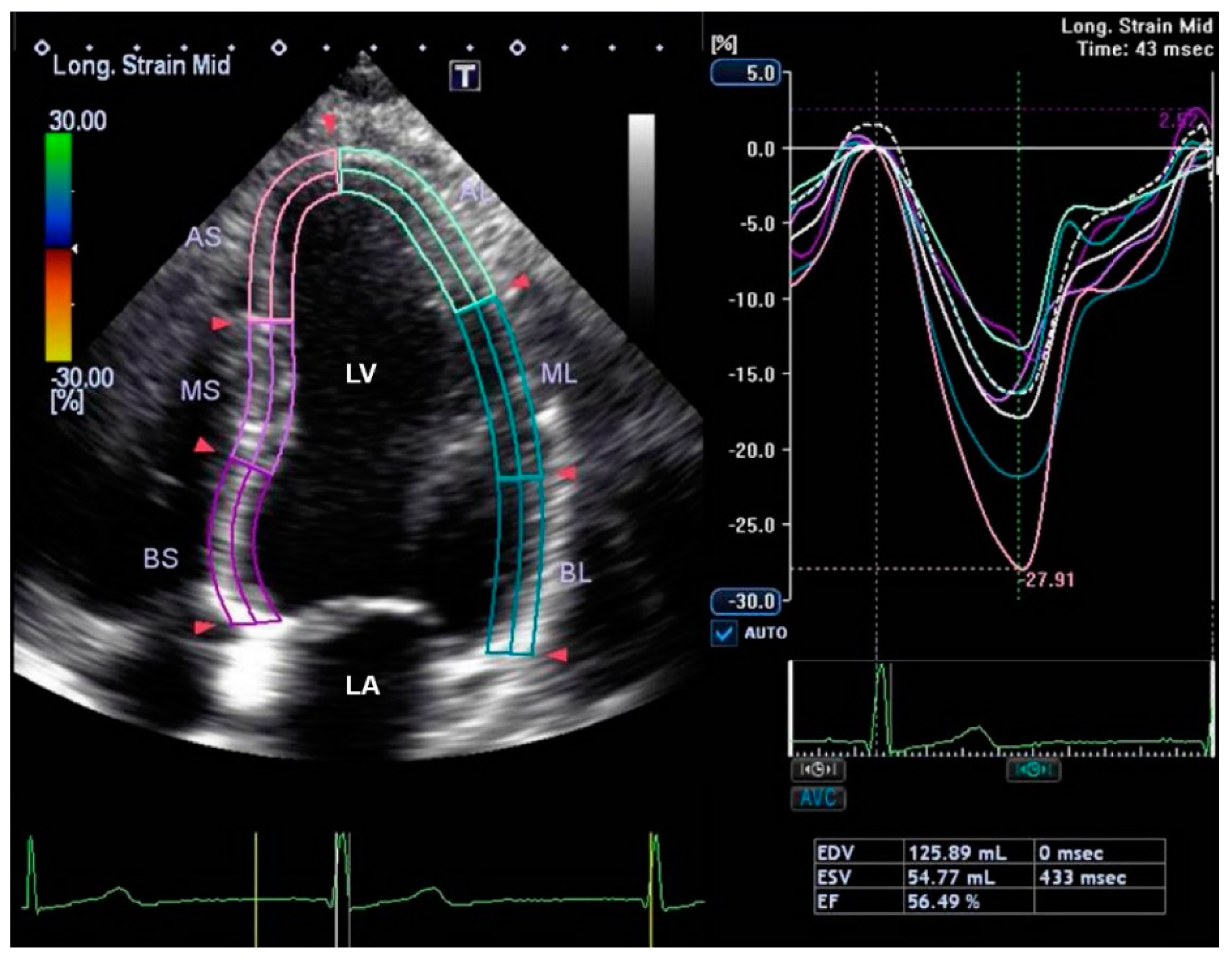 Diagnostics 13 02007 g001