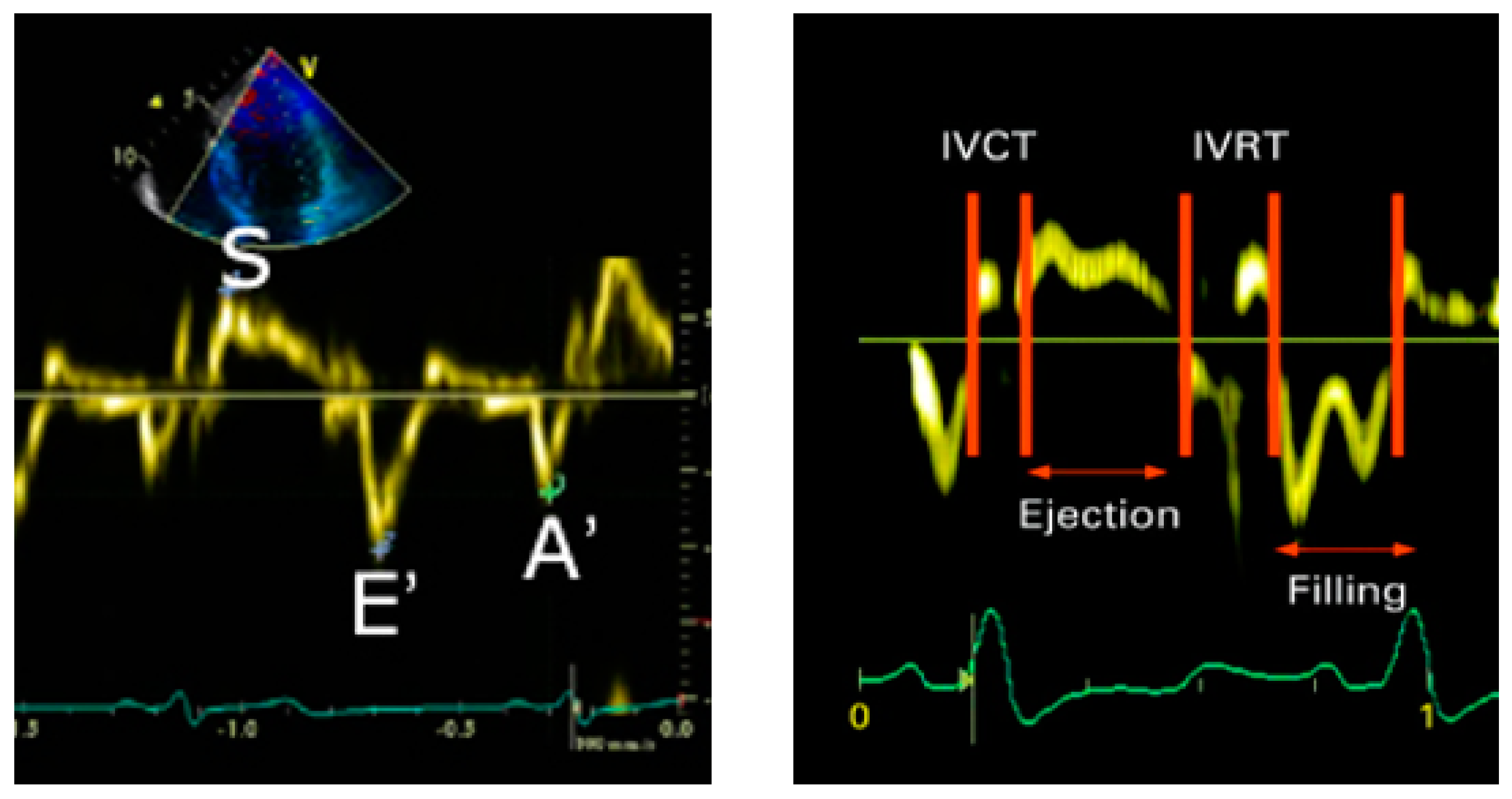 Diagnostics 13 02007 g002