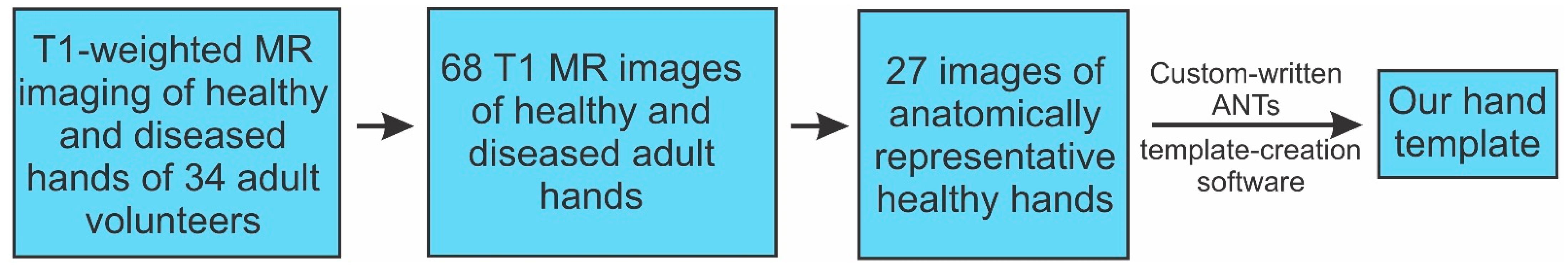 Diagnostics 13 02010 g001
