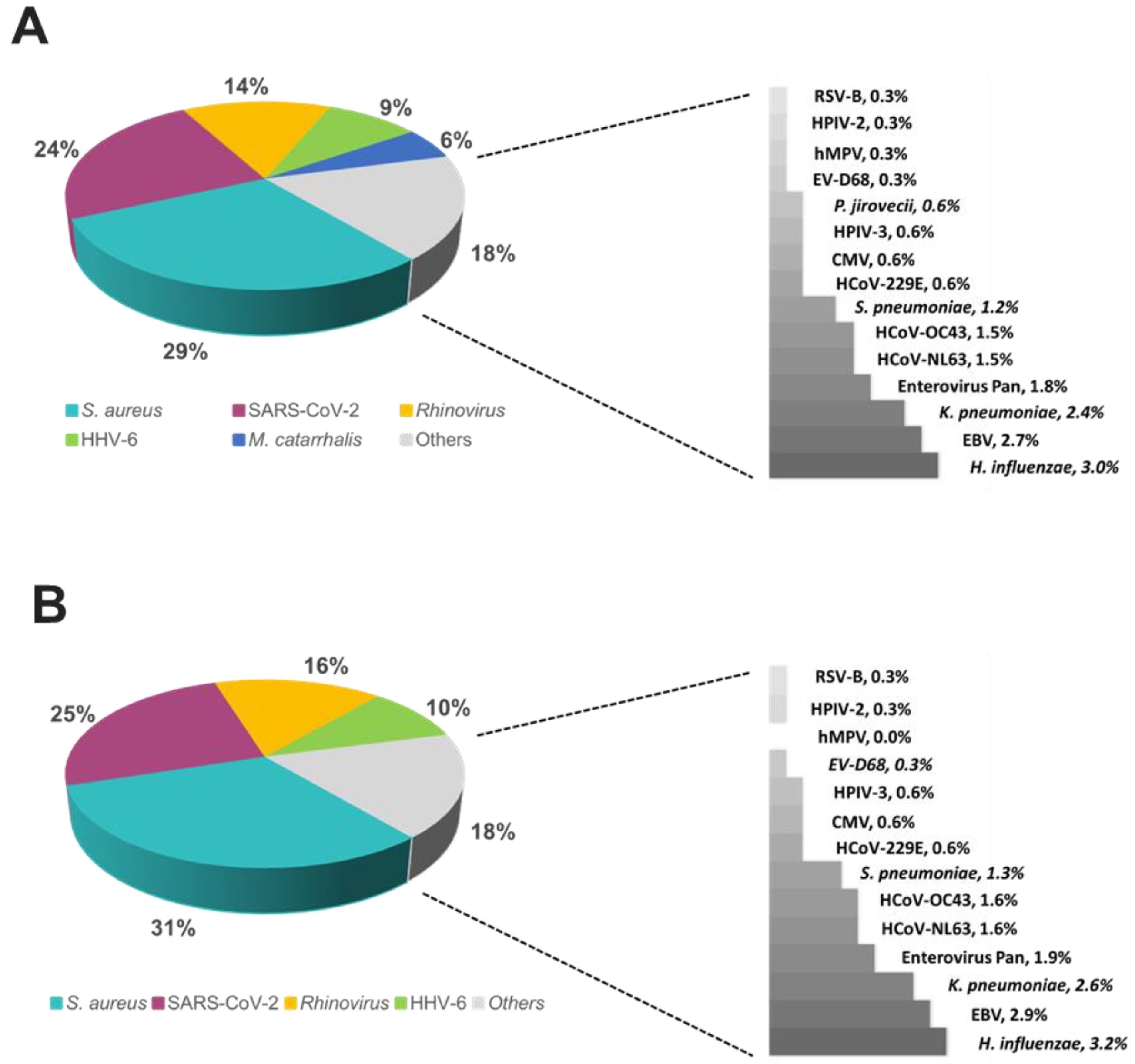 Diagnostics 13 02014 g006