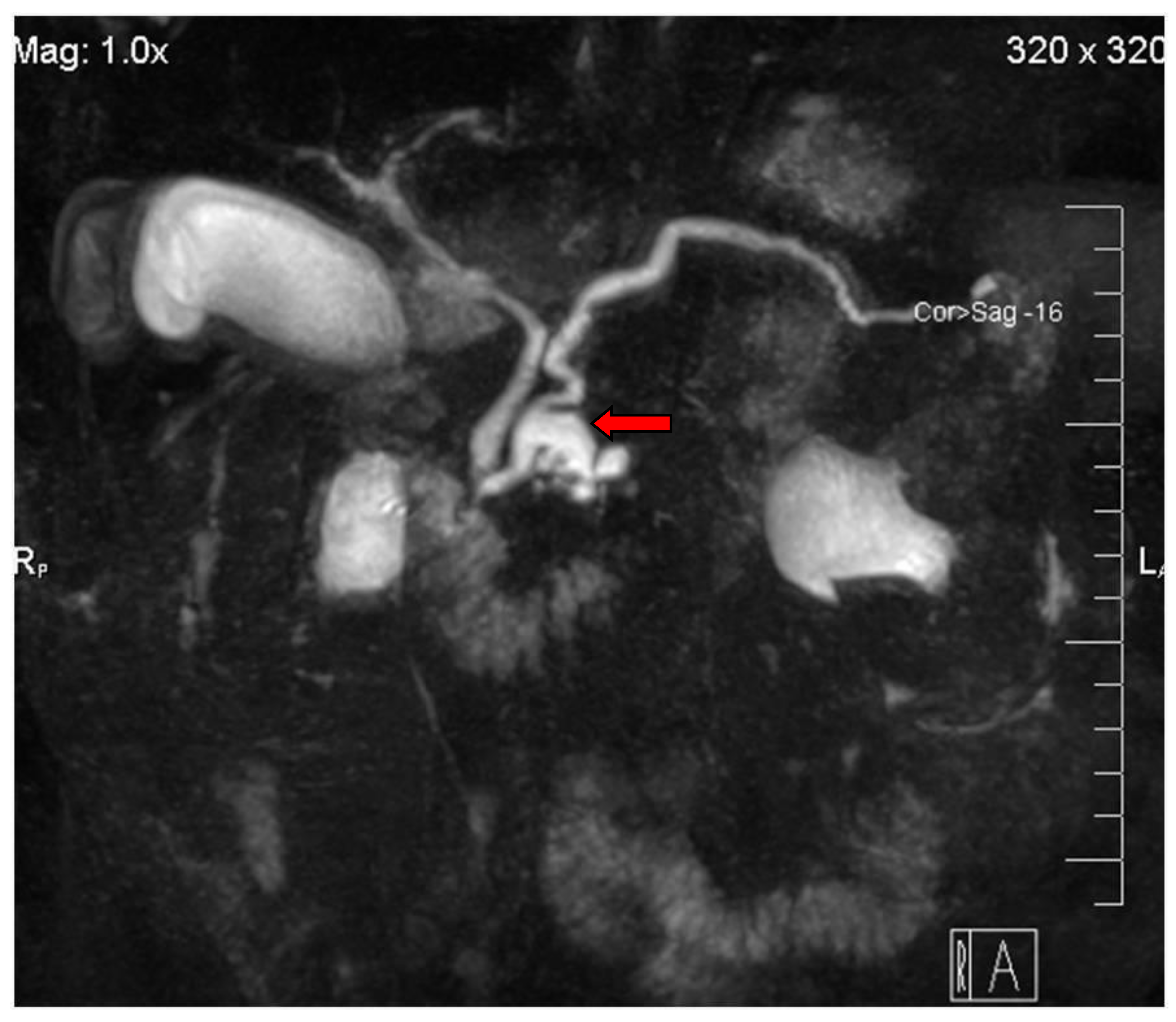 Diagnostics 13 02015 g003
