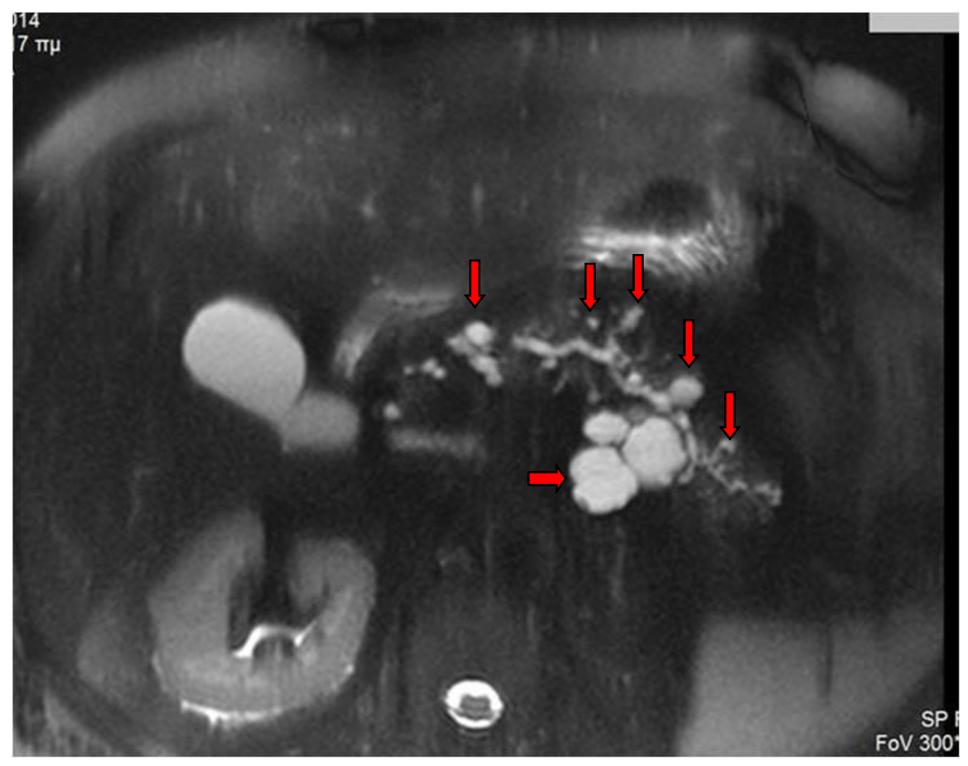 Diagnostics 13 02015 g005