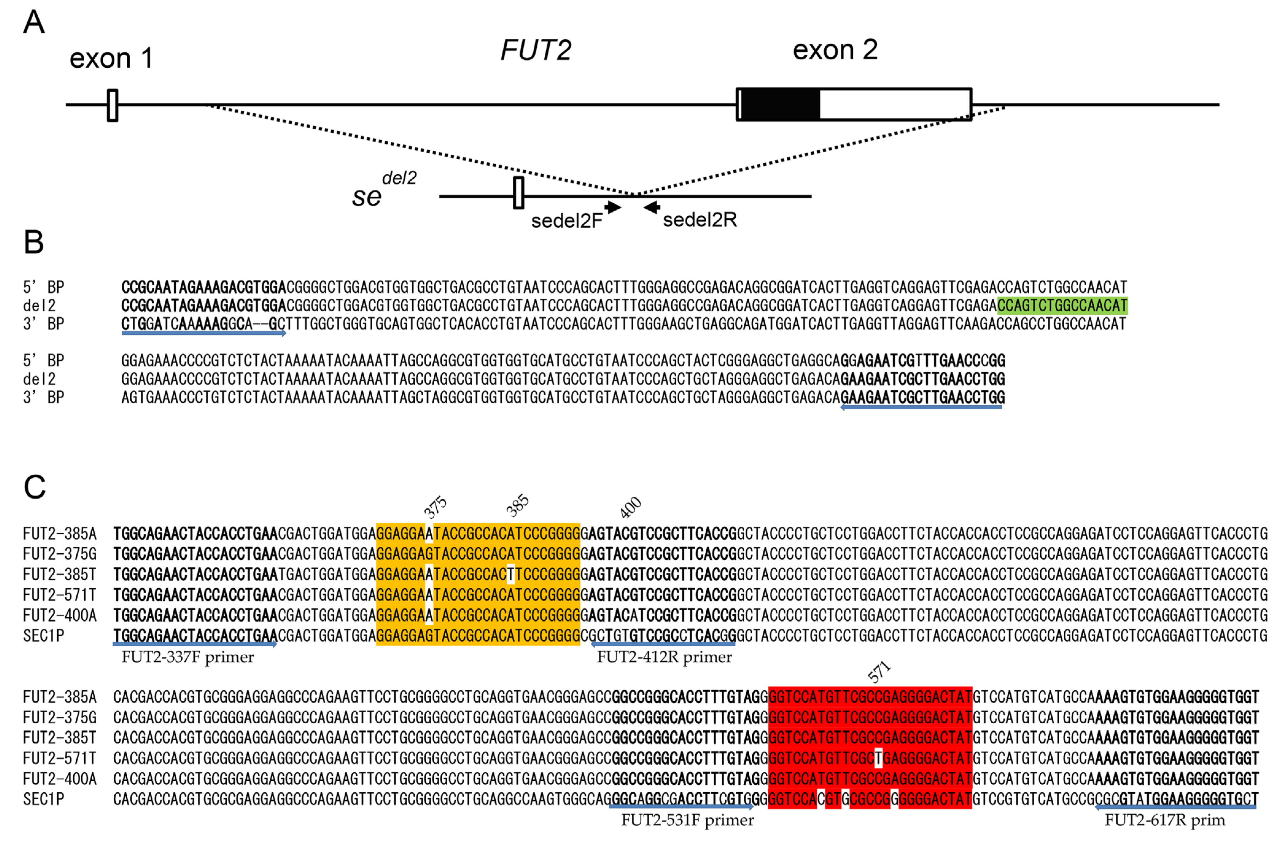 Diagnostics 13 02022 g001