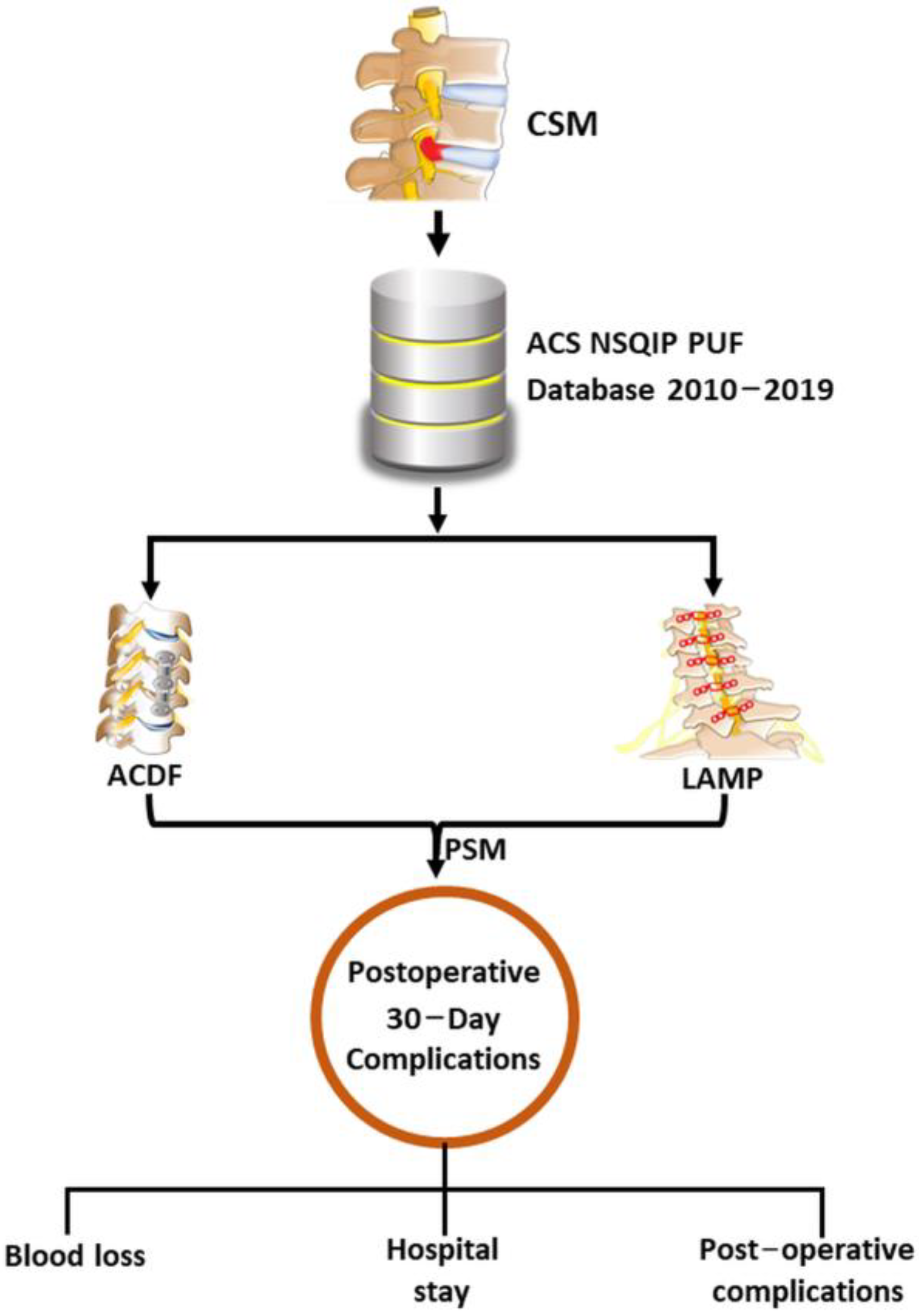 Diagnostics 13 02024 g001