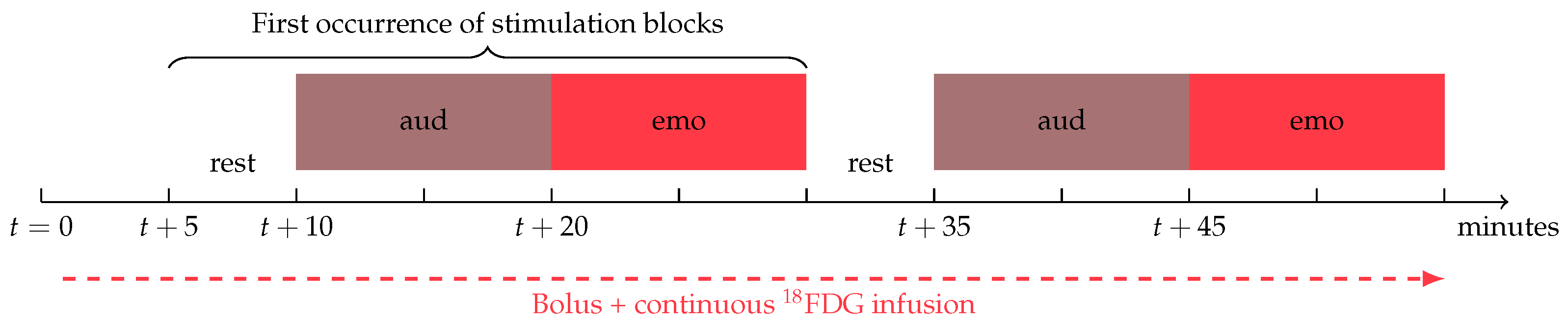 Diagnostics 13 02026 g002