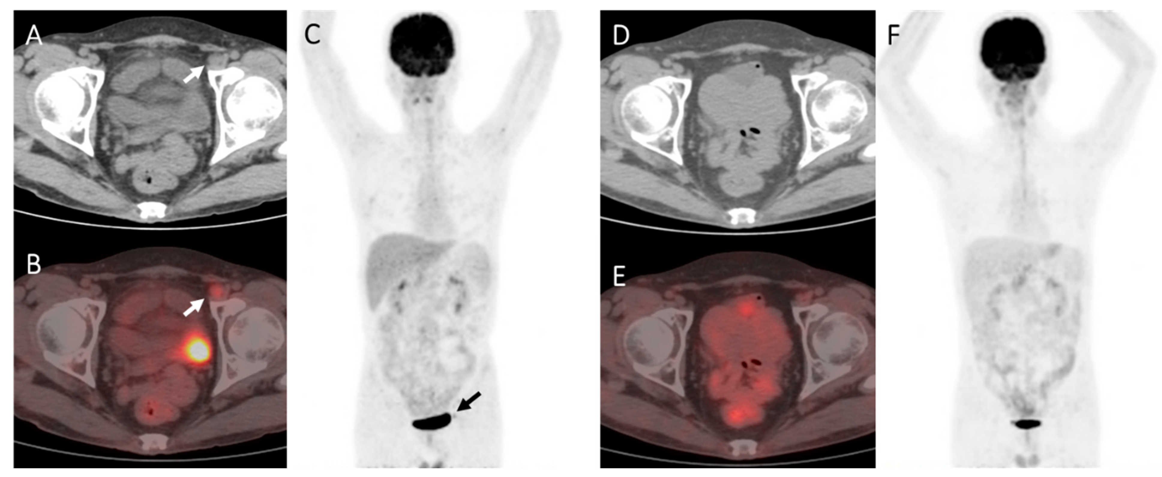 Diagnostics 13 02027 g002