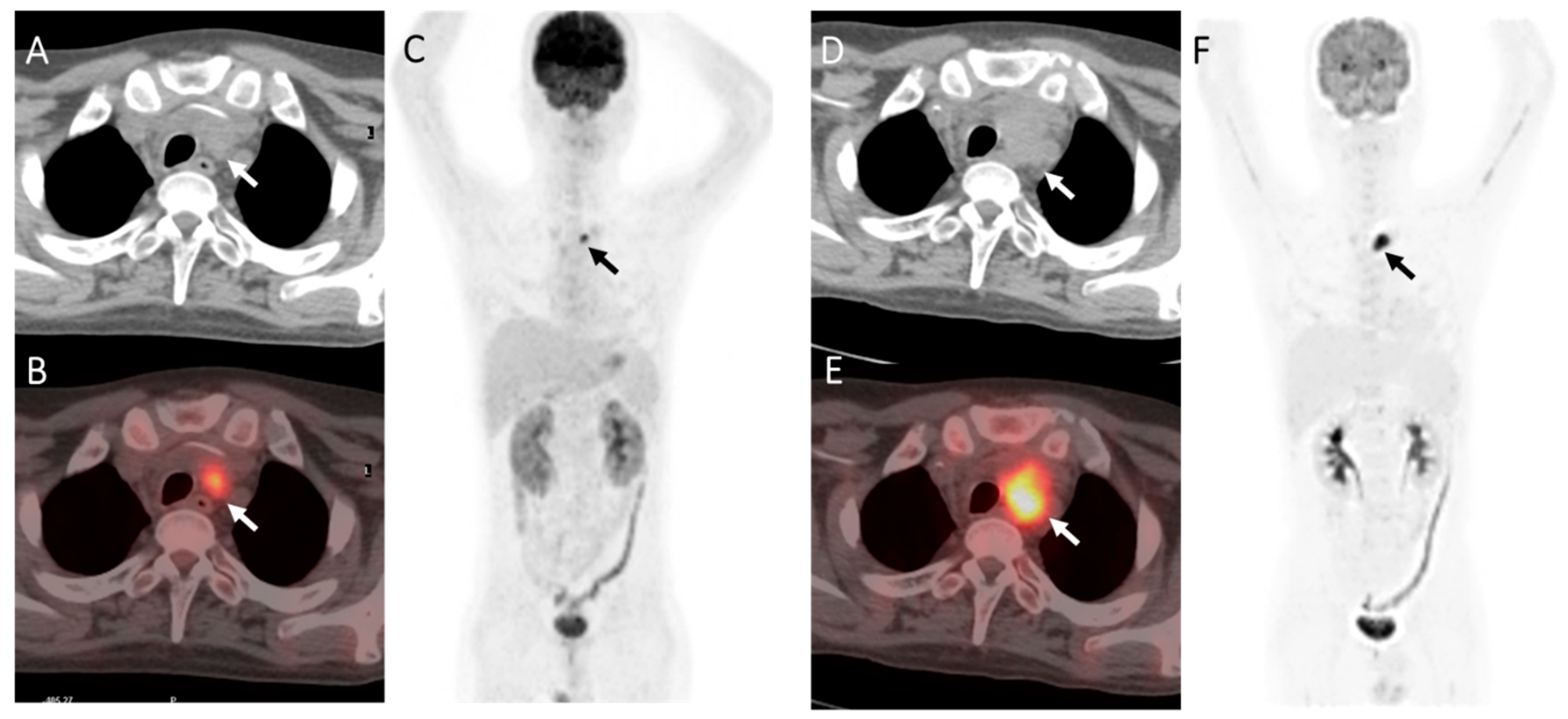 Diagnostics 13 02027 g003