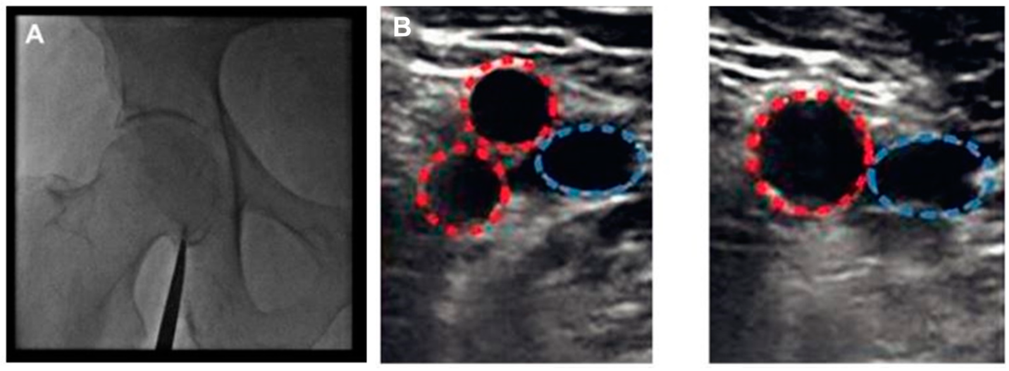 Diagnostics 13 02028 g002