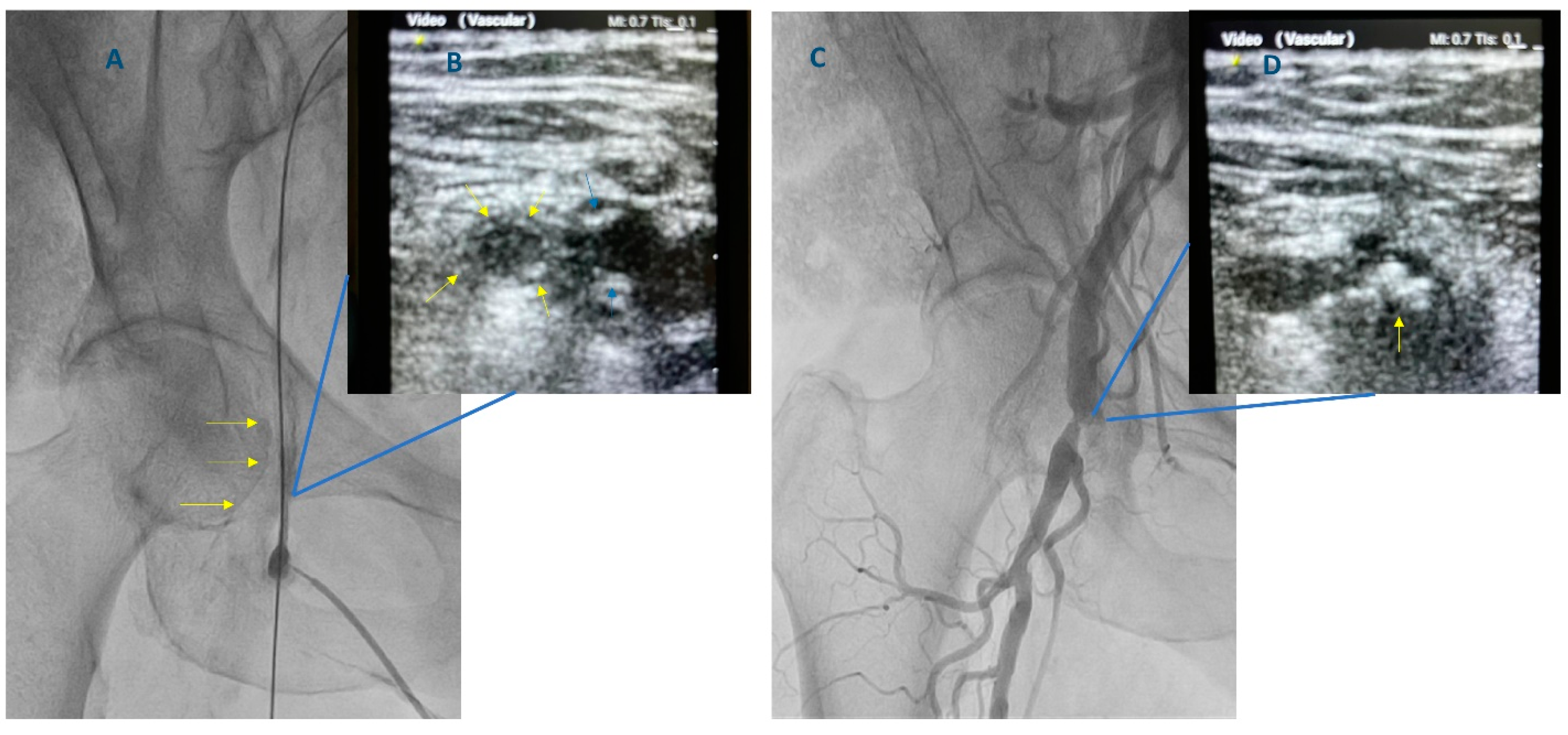 Diagnostics 13 02028 g003