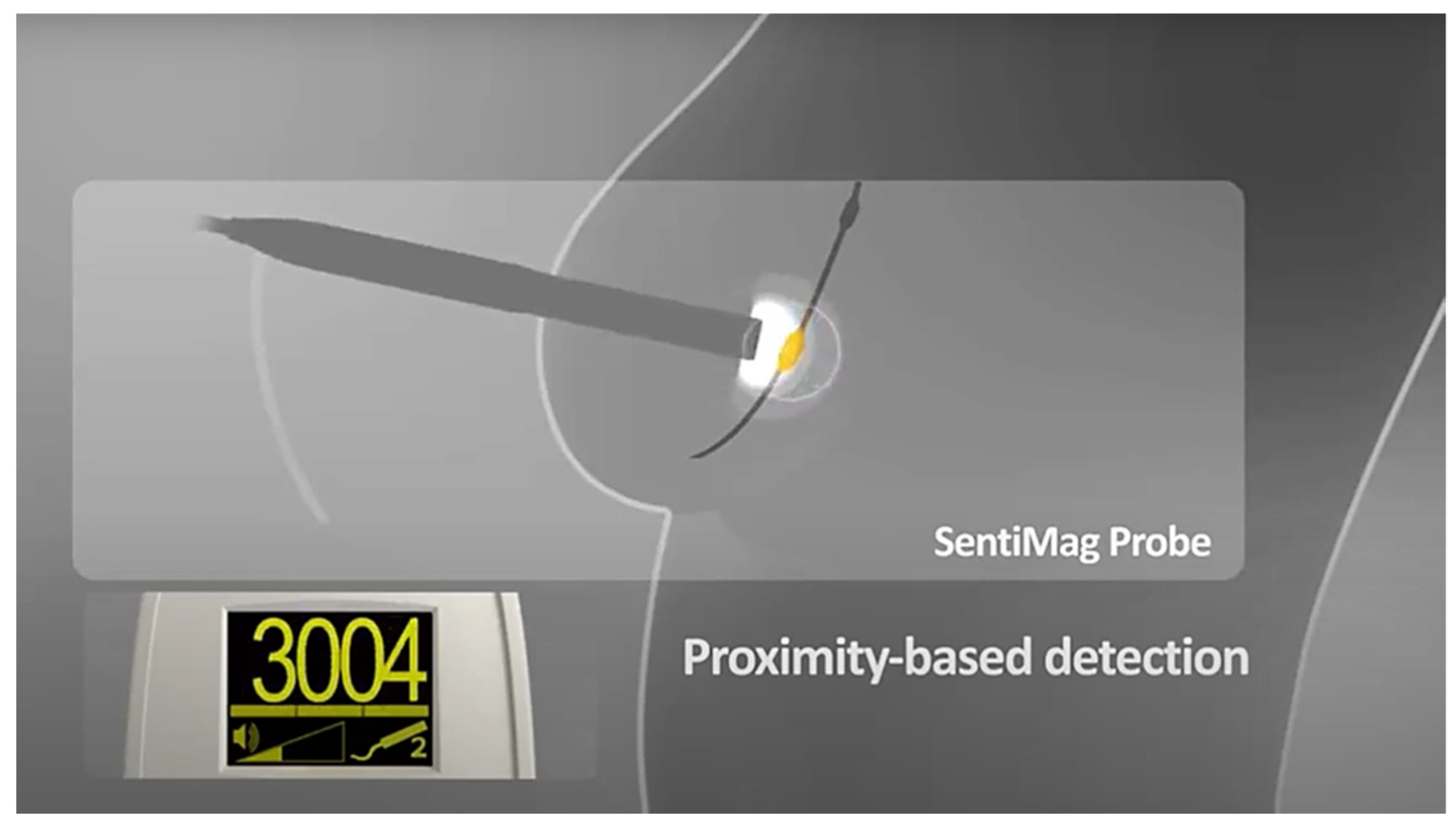 Diagnostics 13 02030 g003b