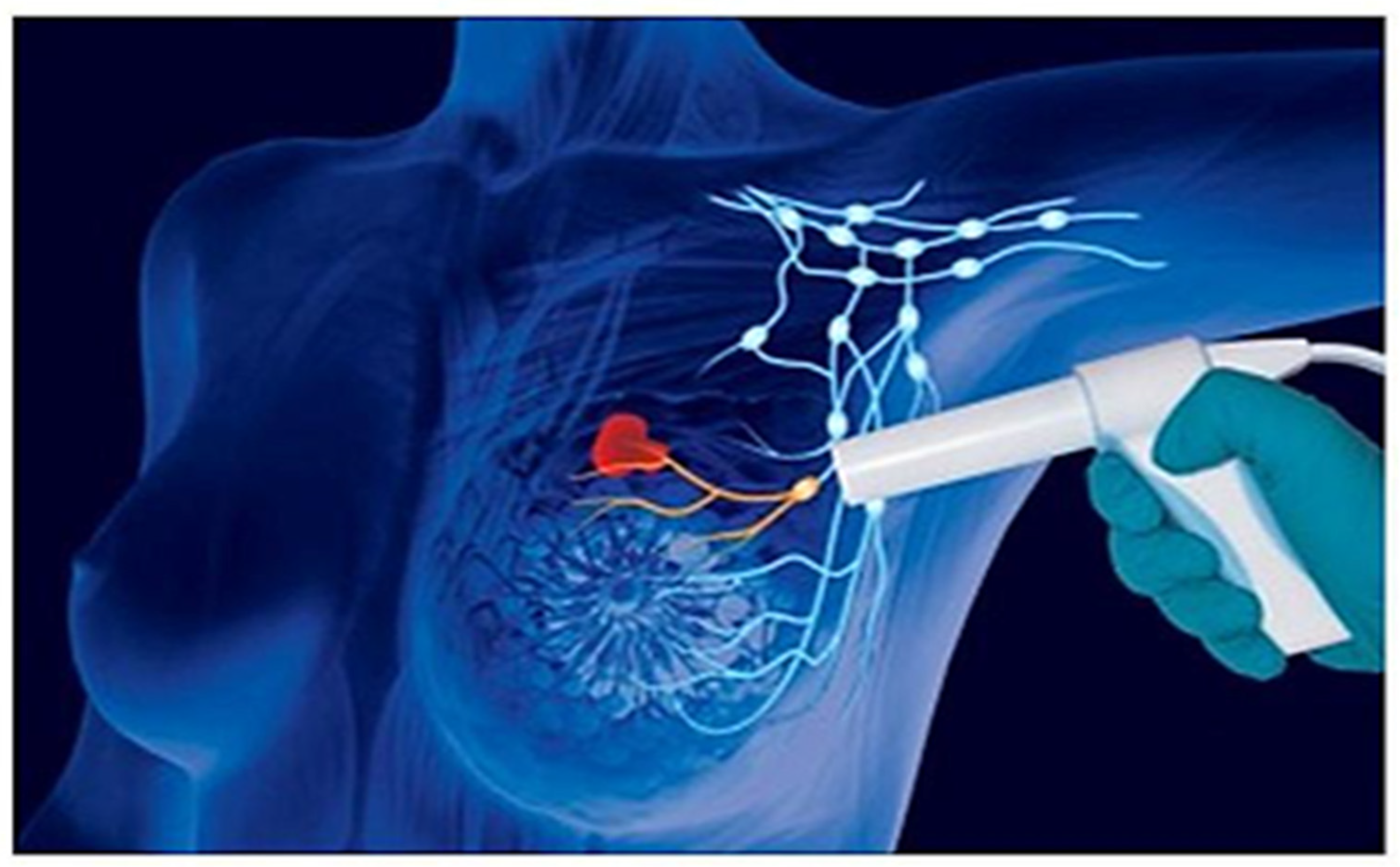 Diagnostics 13 02030 g005