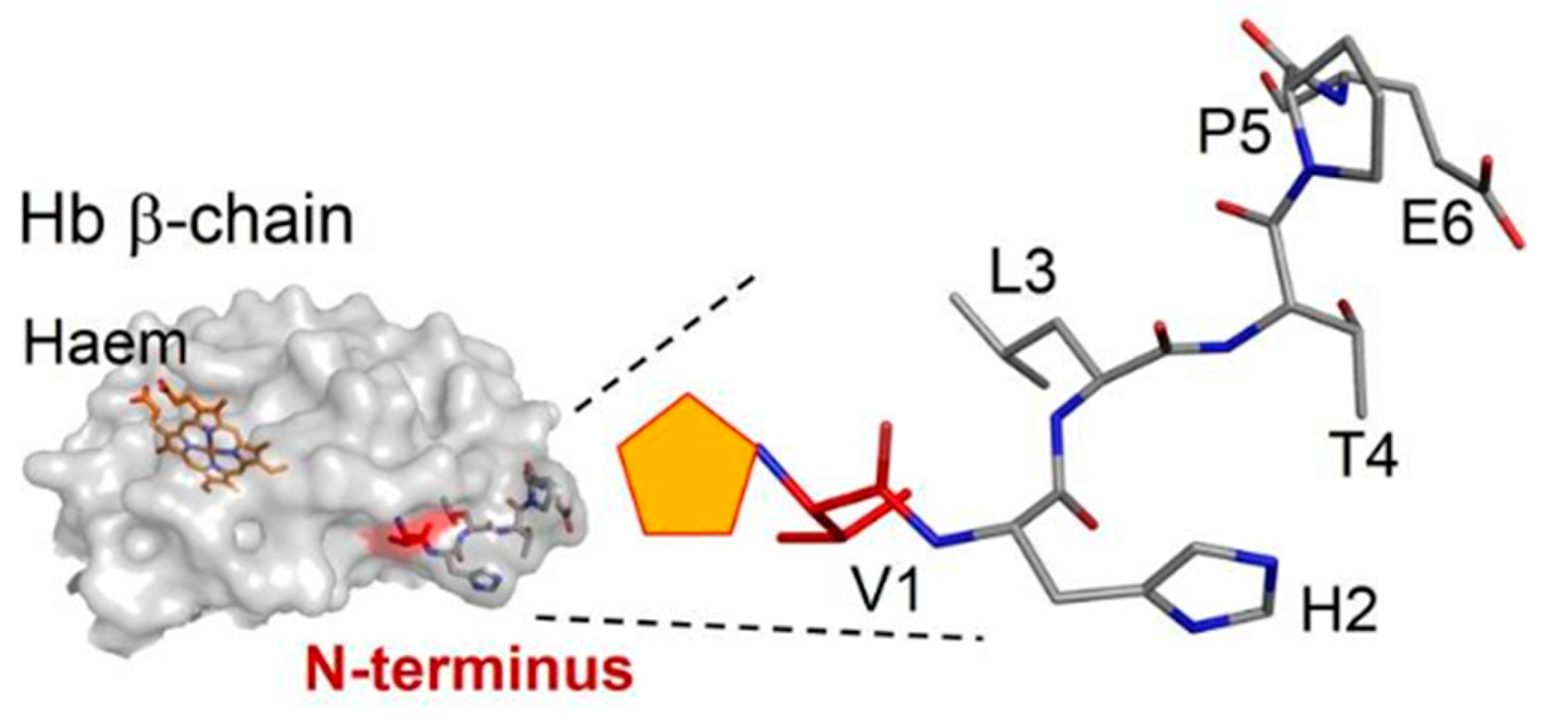 Diagnostics 13 02035 g005