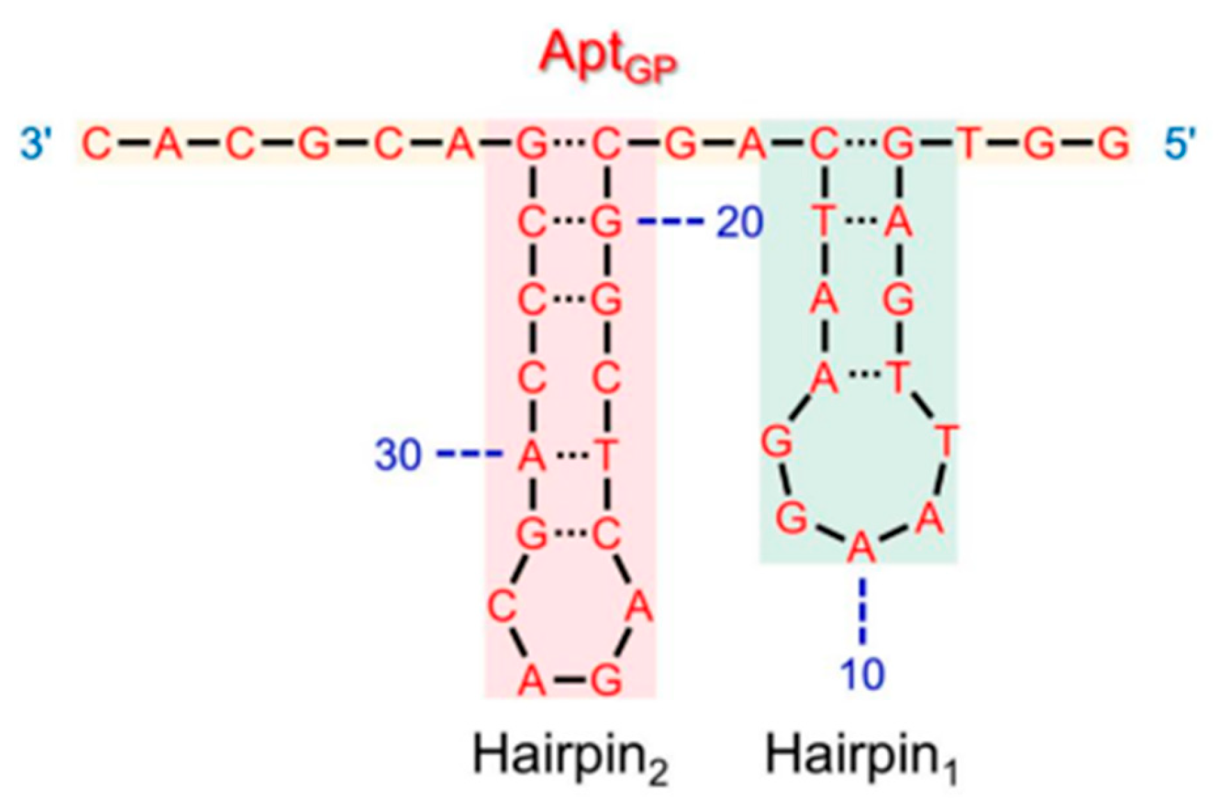 Diagnostics 13 02035 g006