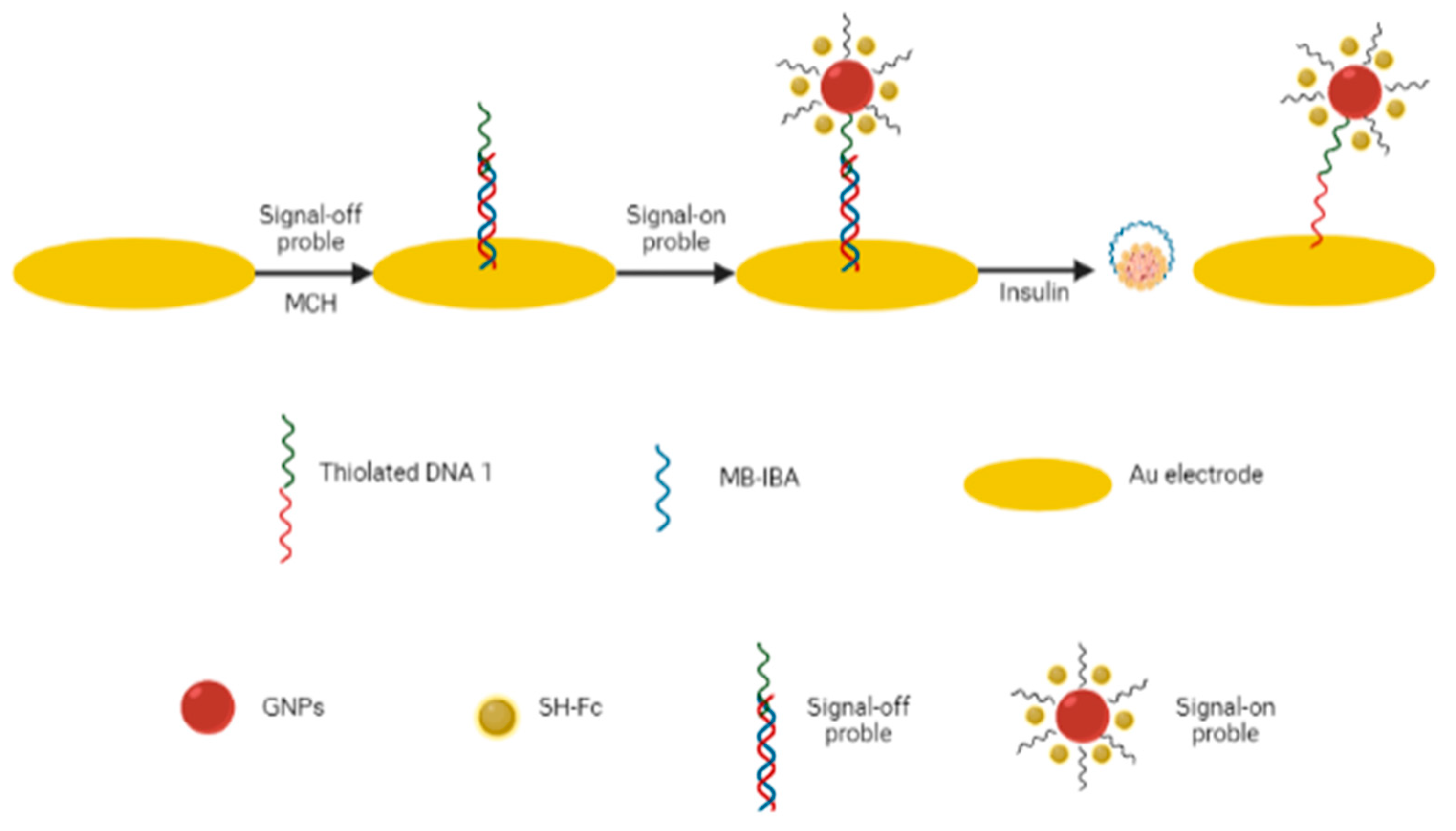 Diagnostics 13 02035 g007