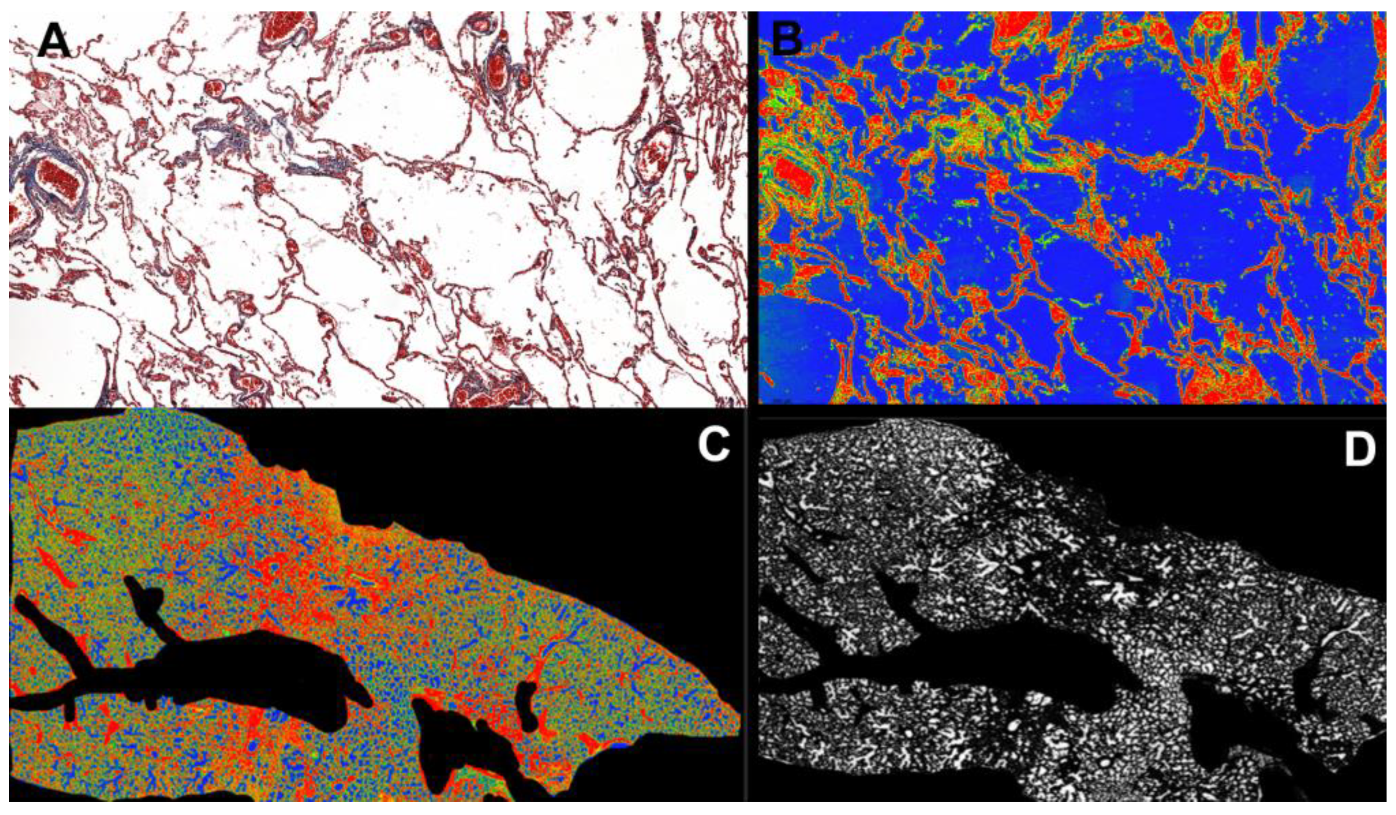 Diagnostics 13 02039 g001 Diagnostics 13 02039 g001