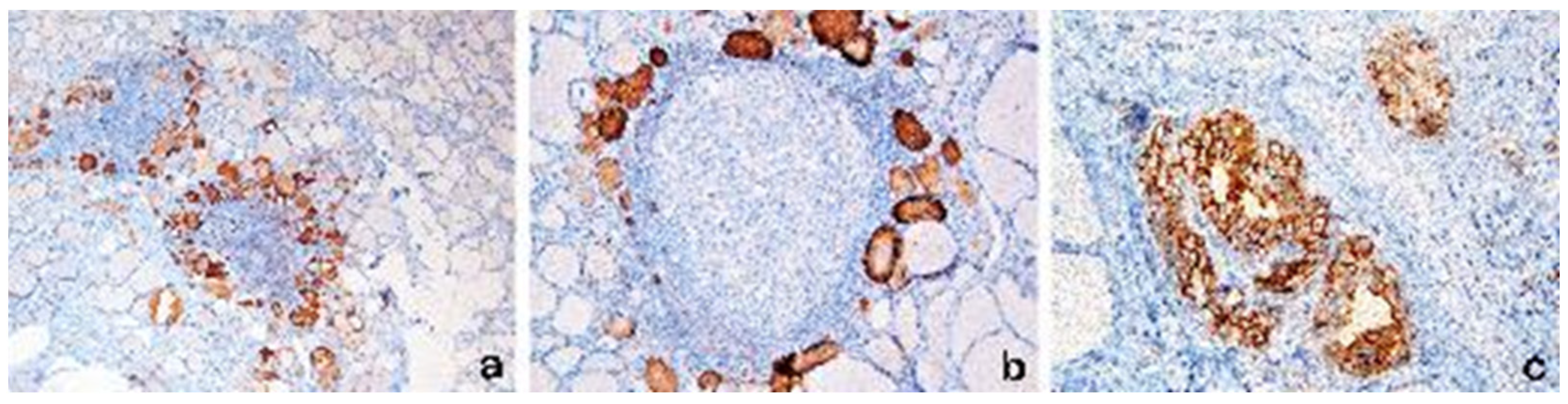 Diagnostics 13 02042 g003