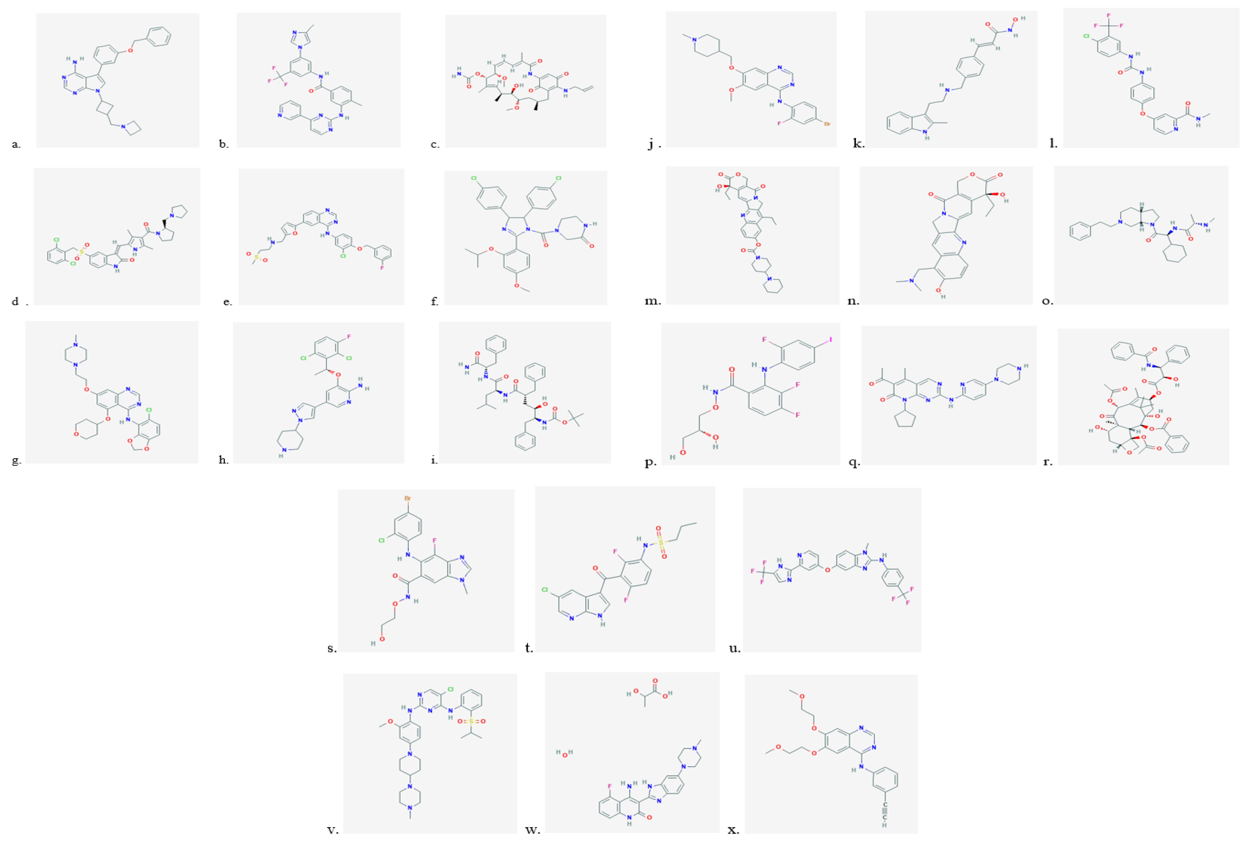 Diagnostics 13 02043 g002