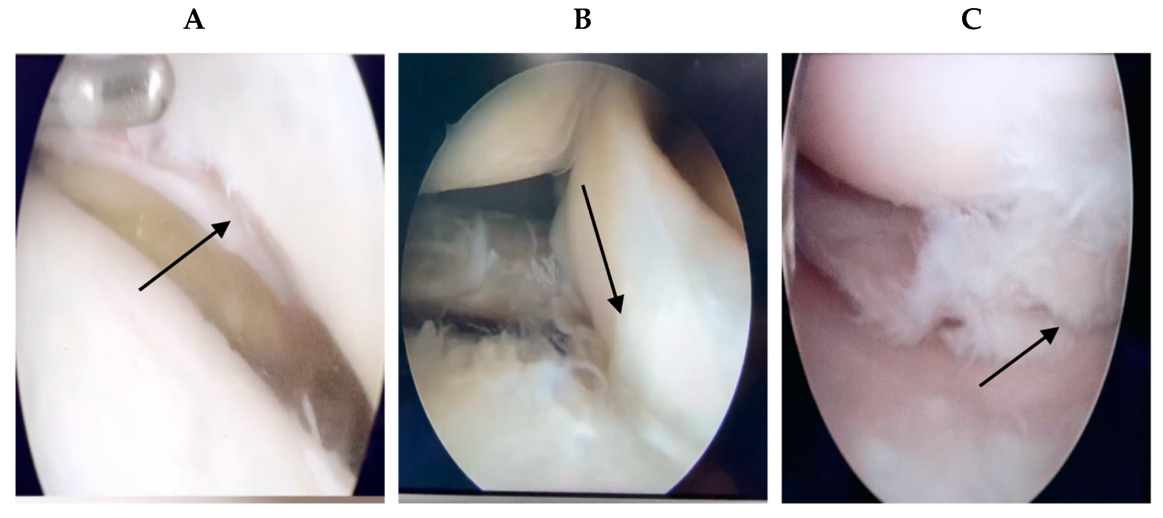 Diagnostics 13 02049 g003