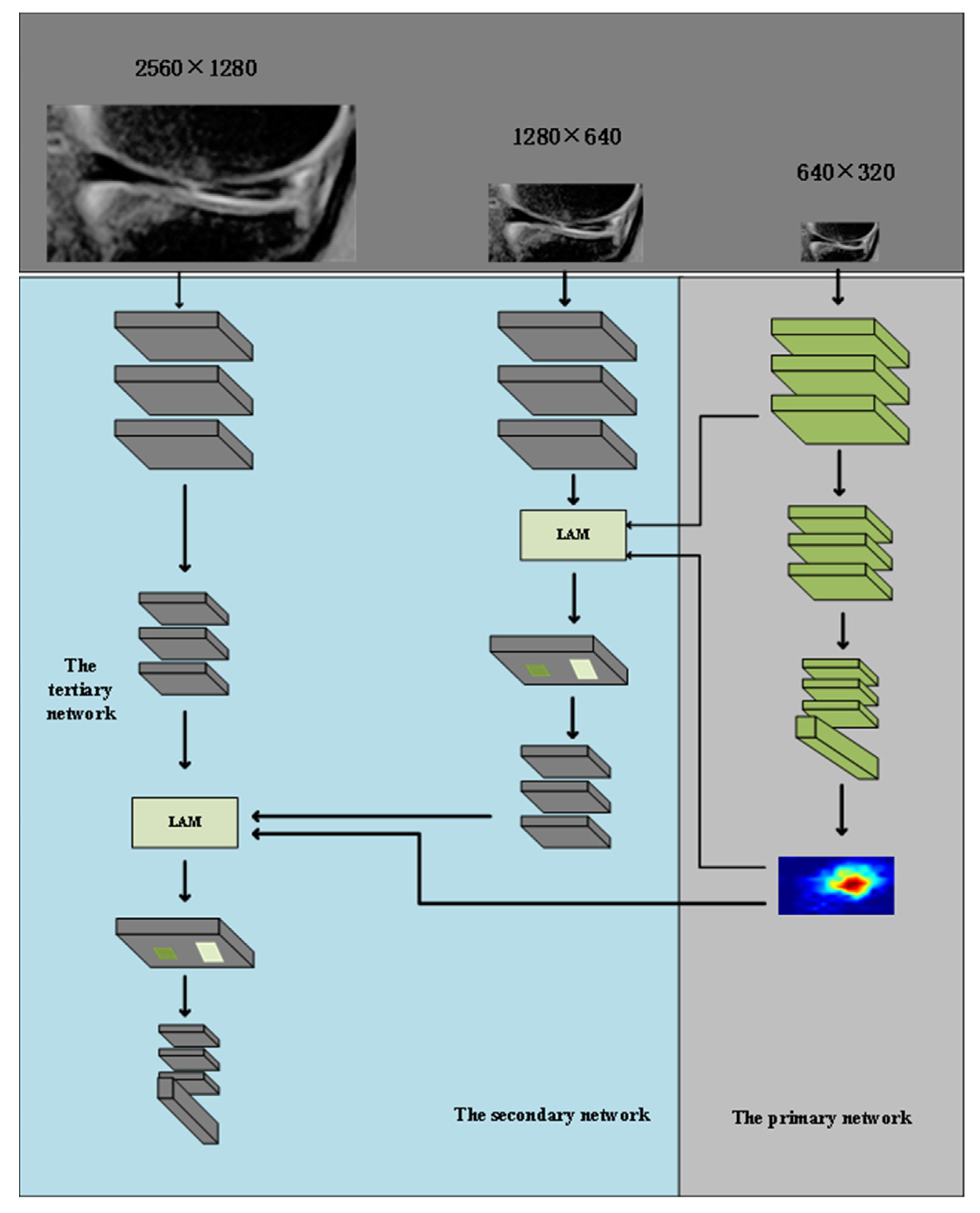 Diagnostics 13 02049 g004