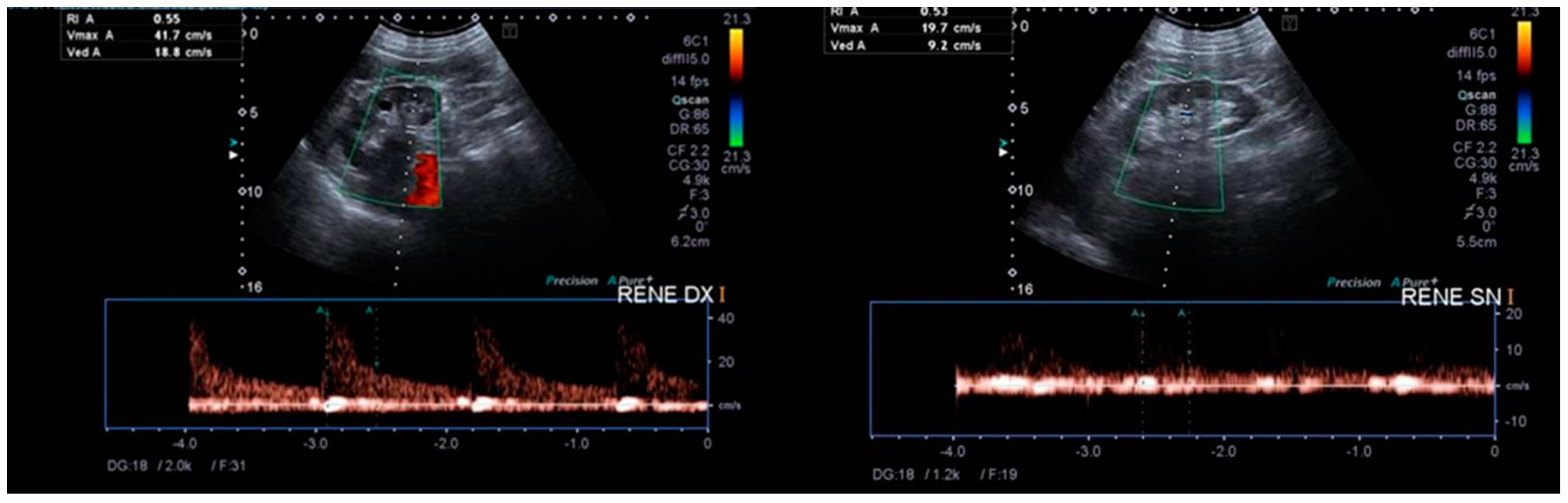 Diagnostics 13 02054 g001 Diagnostics 13 02054 g001