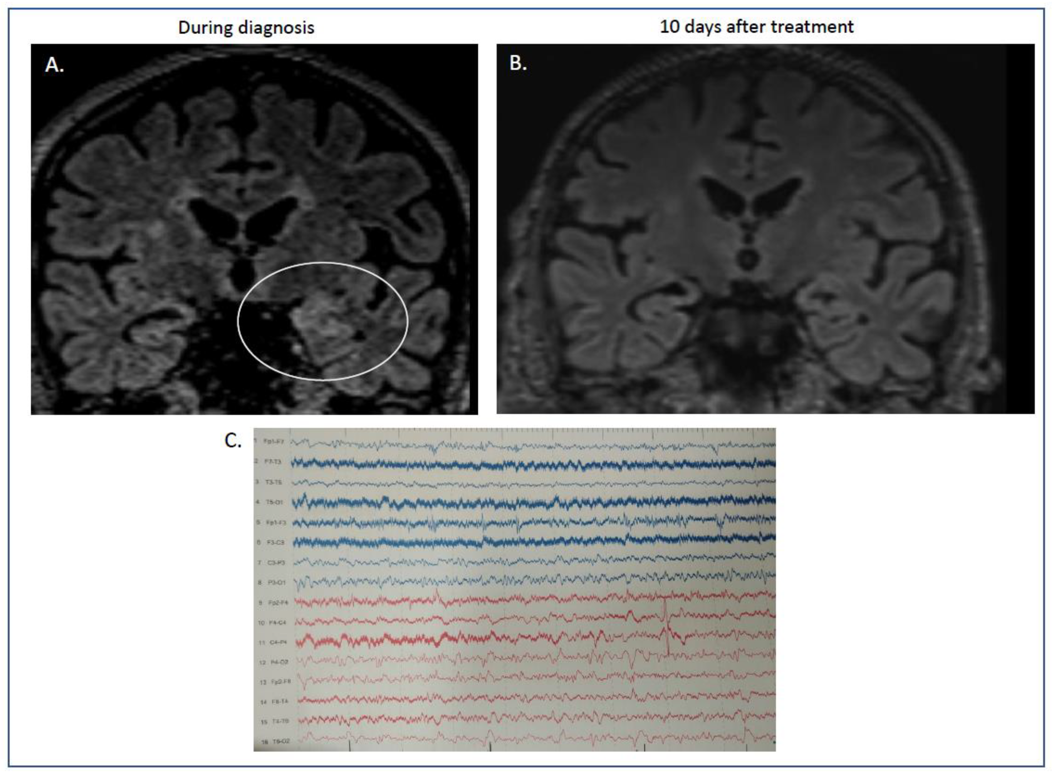 Diagnostics 13 02055 g001