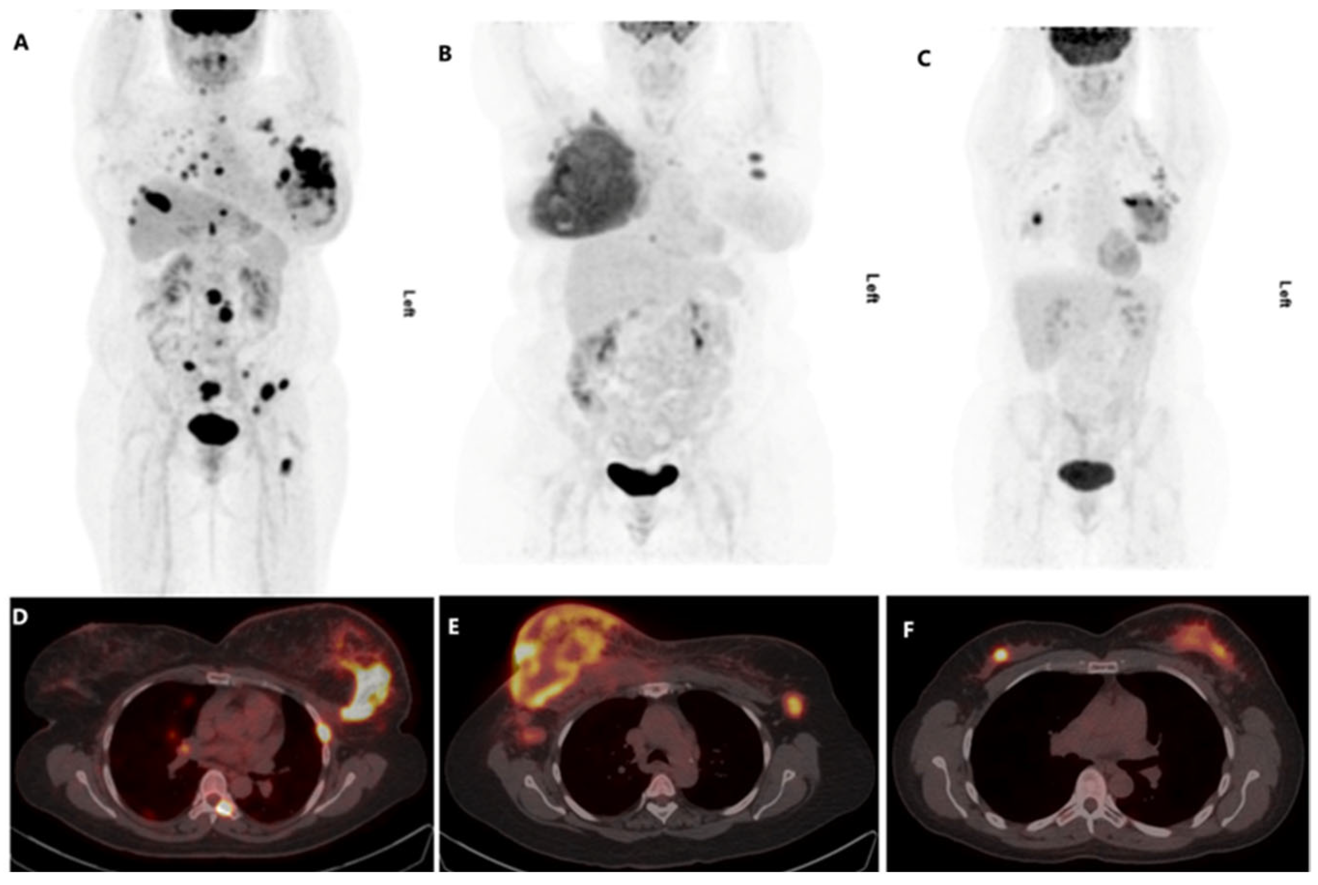 Diagnostics 13 02059 g001