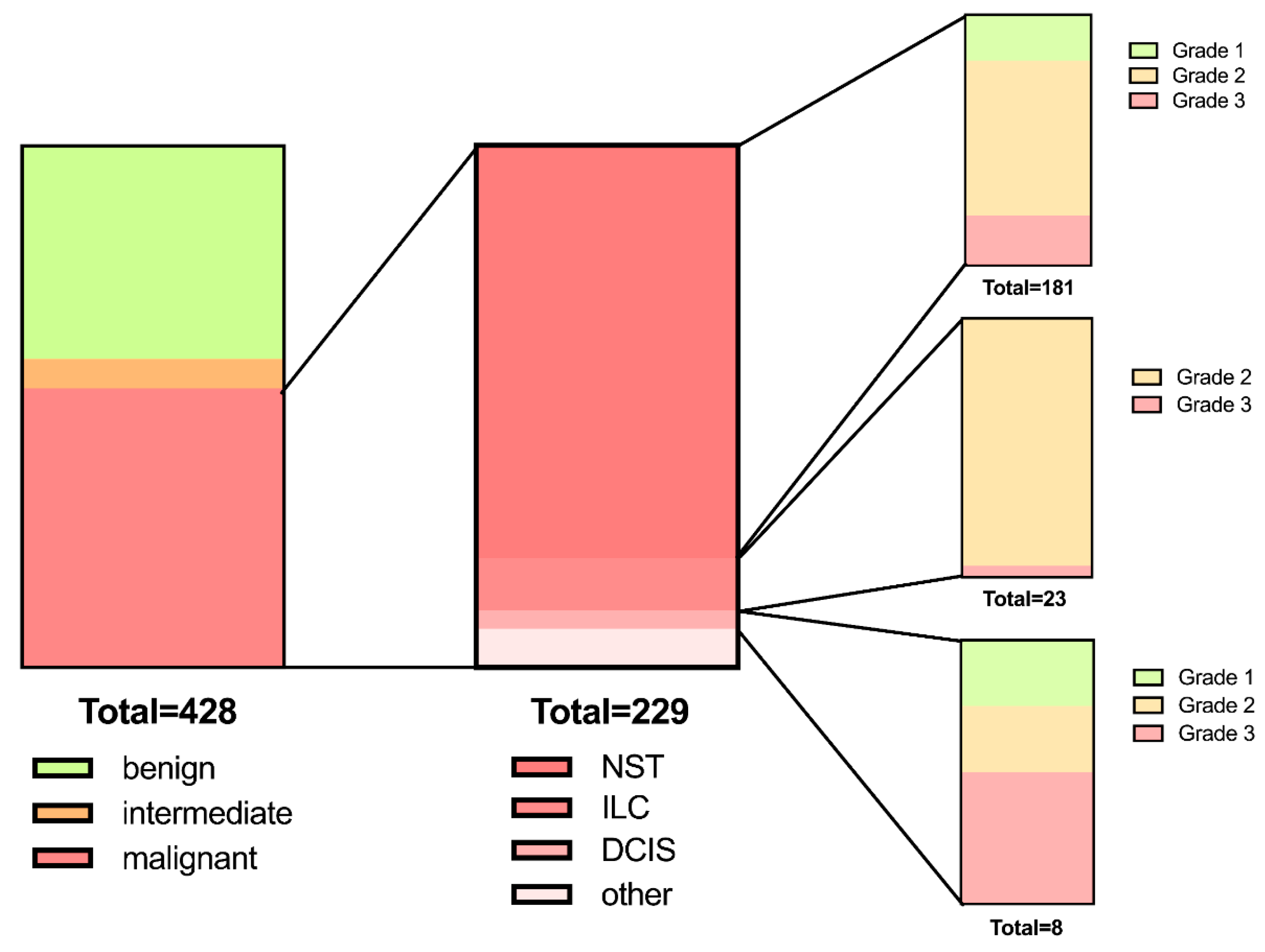 Diagnostics 13 02064 g002