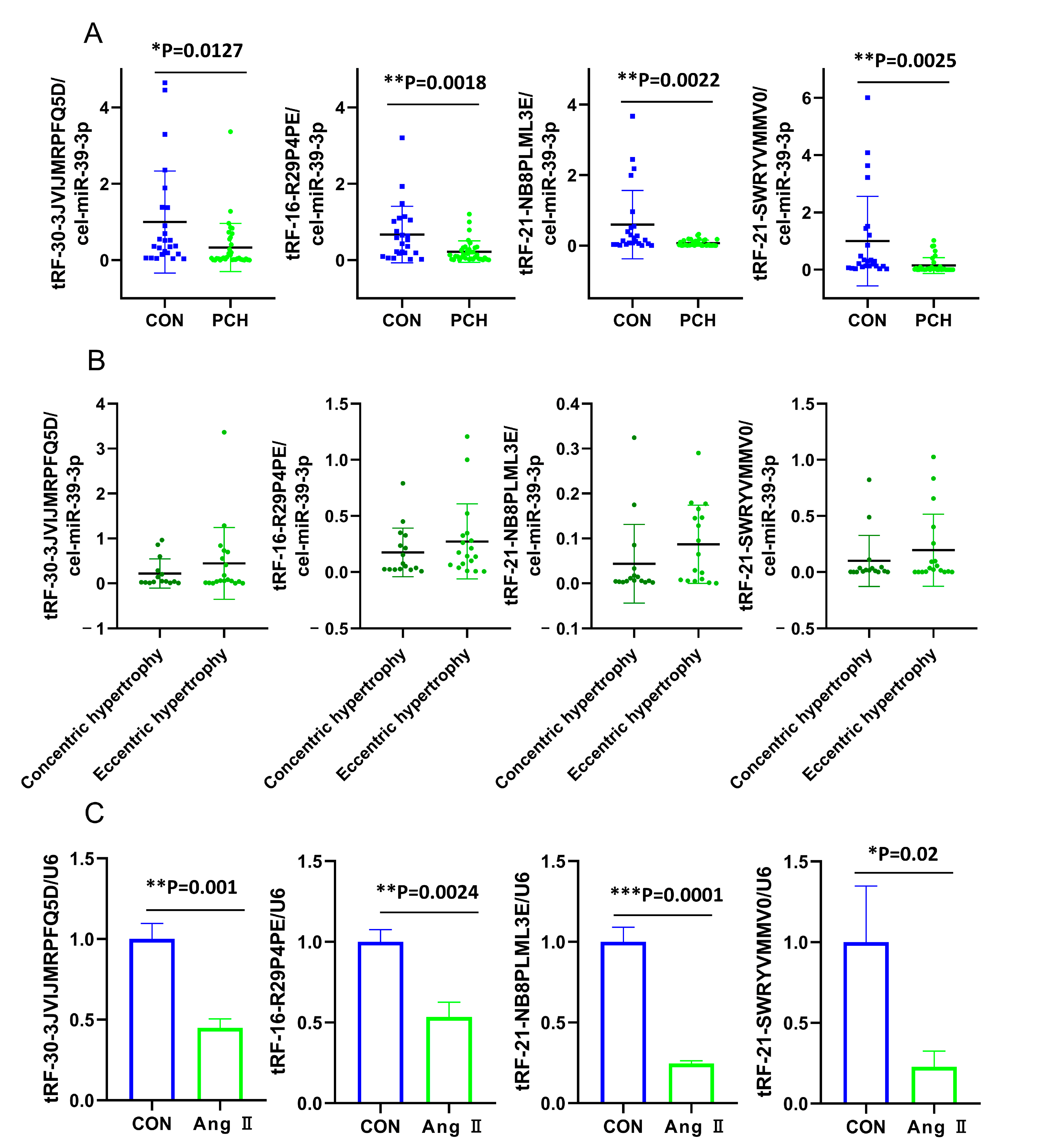 Diagnostics 13 02065 g003