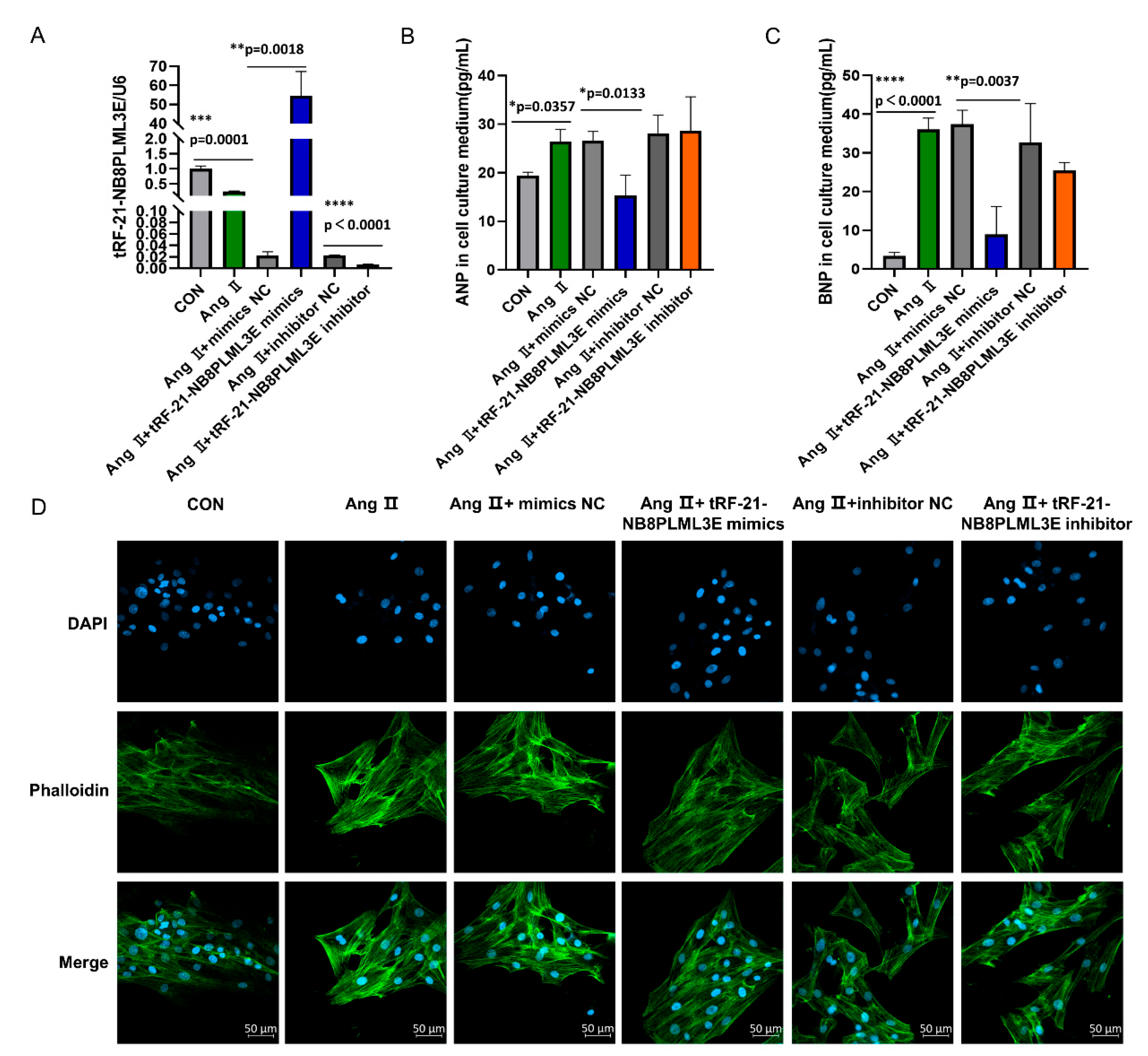 Diagnostics 13 02065 g006