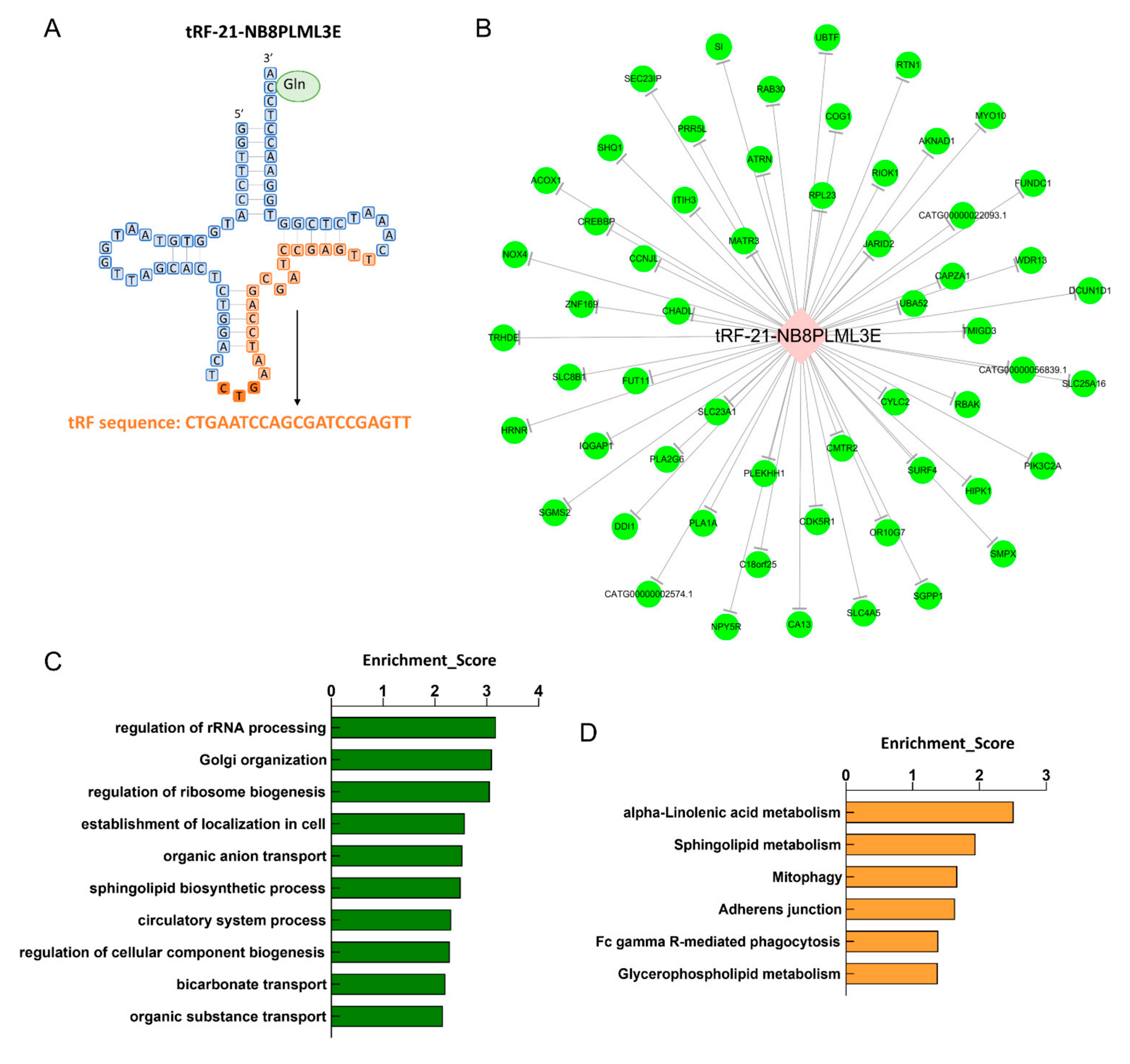 Diagnostics 13 02065 g007