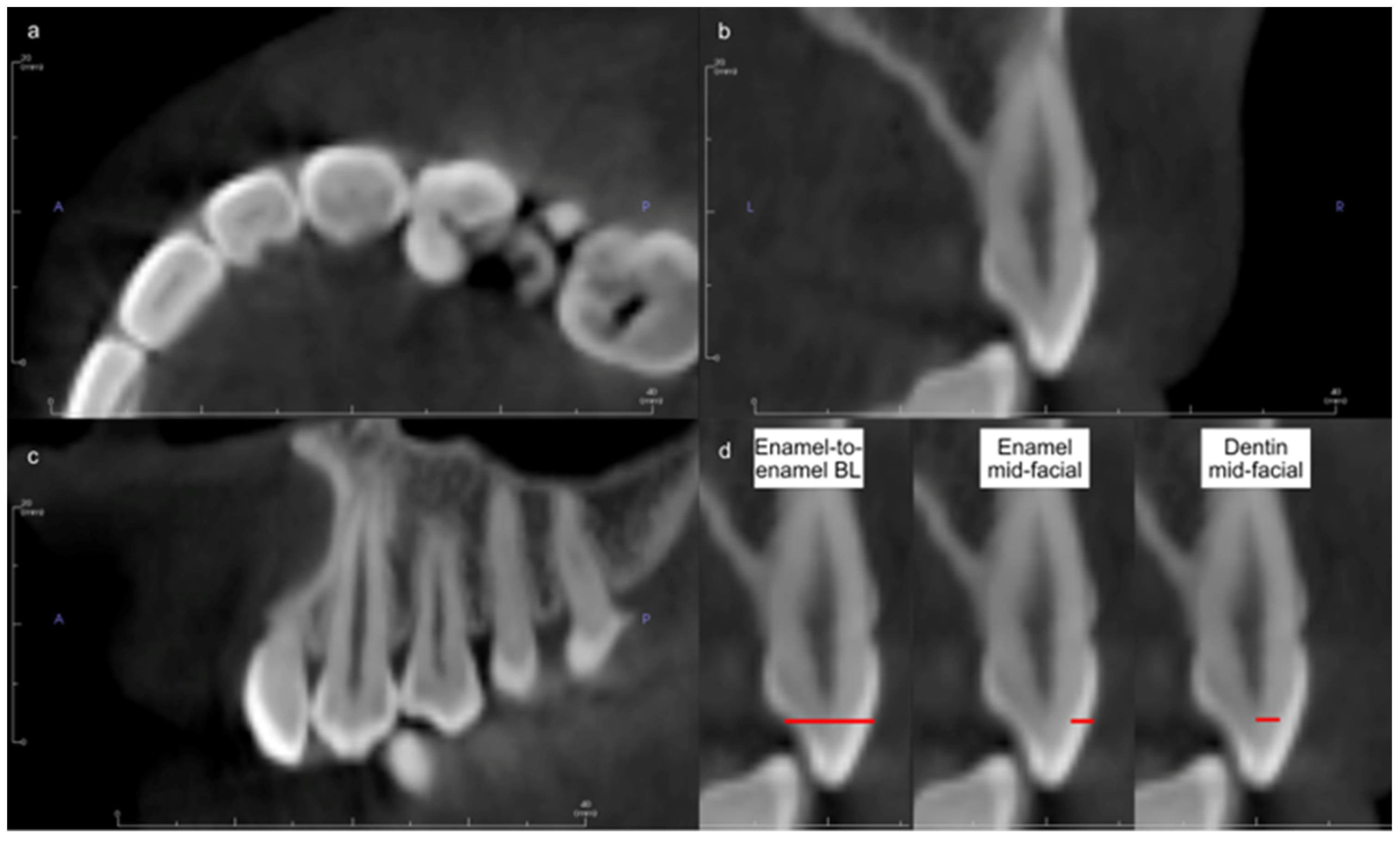 Diagnostics 13 02066 g001