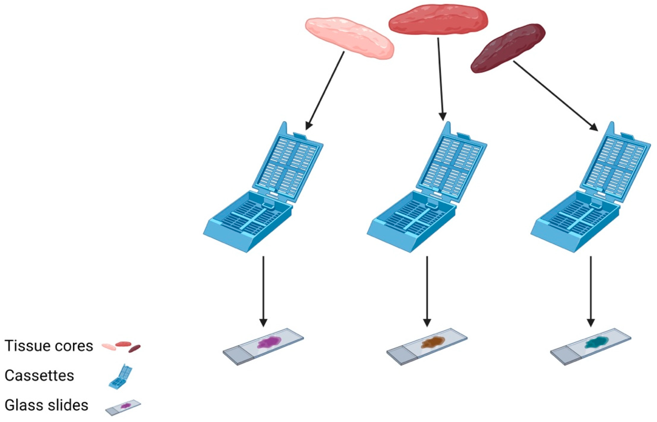 Diagnostics 13 02072 g001