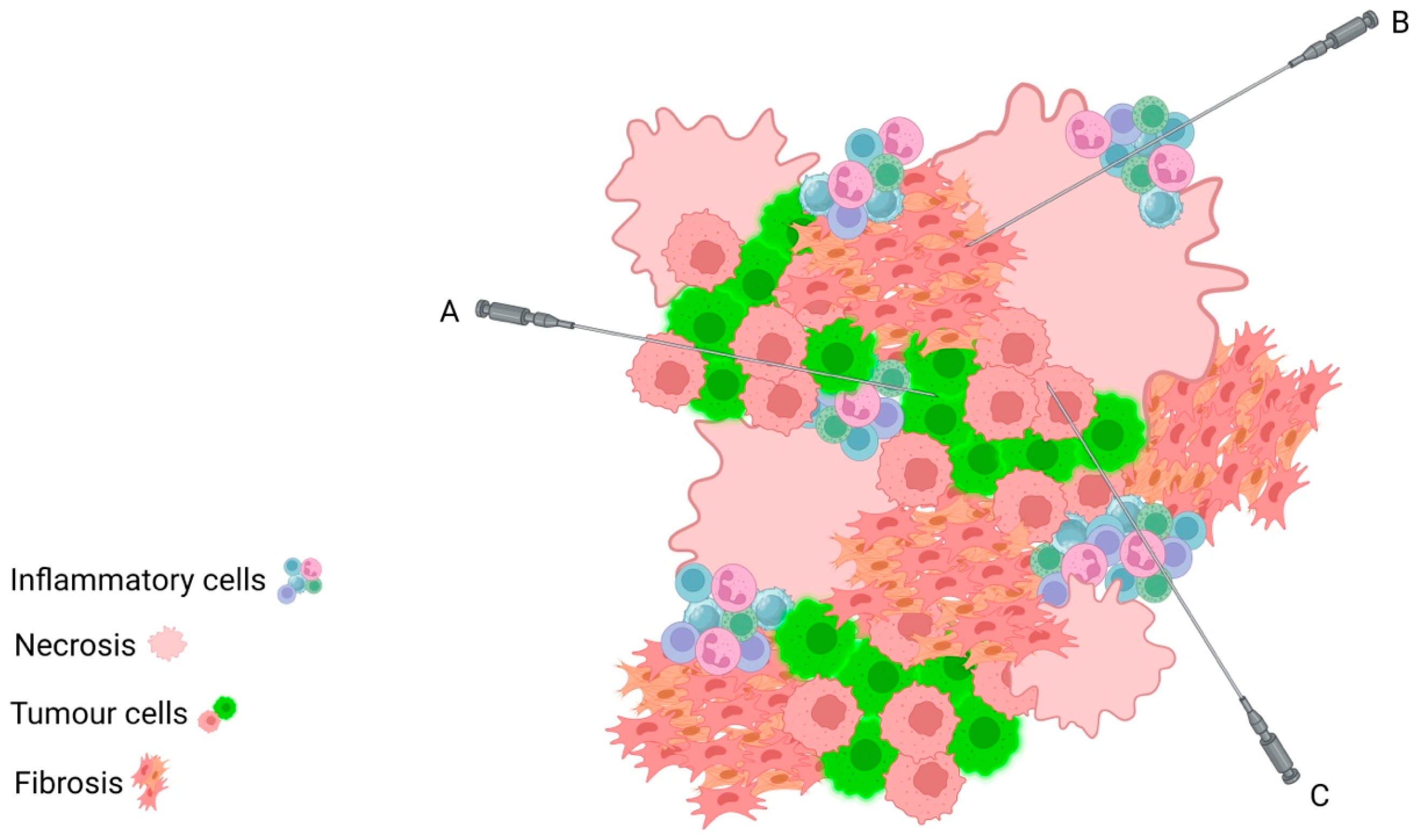 Diagnostics 13 02072 g002