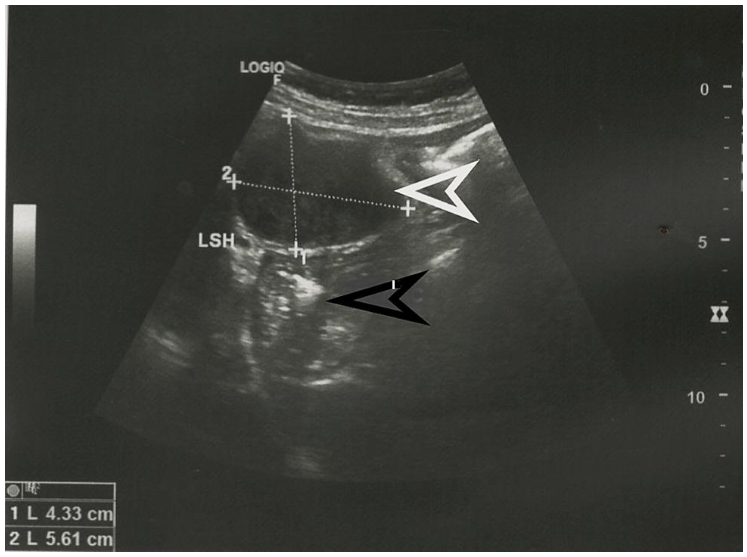 Diagnostics 13 02073 g001