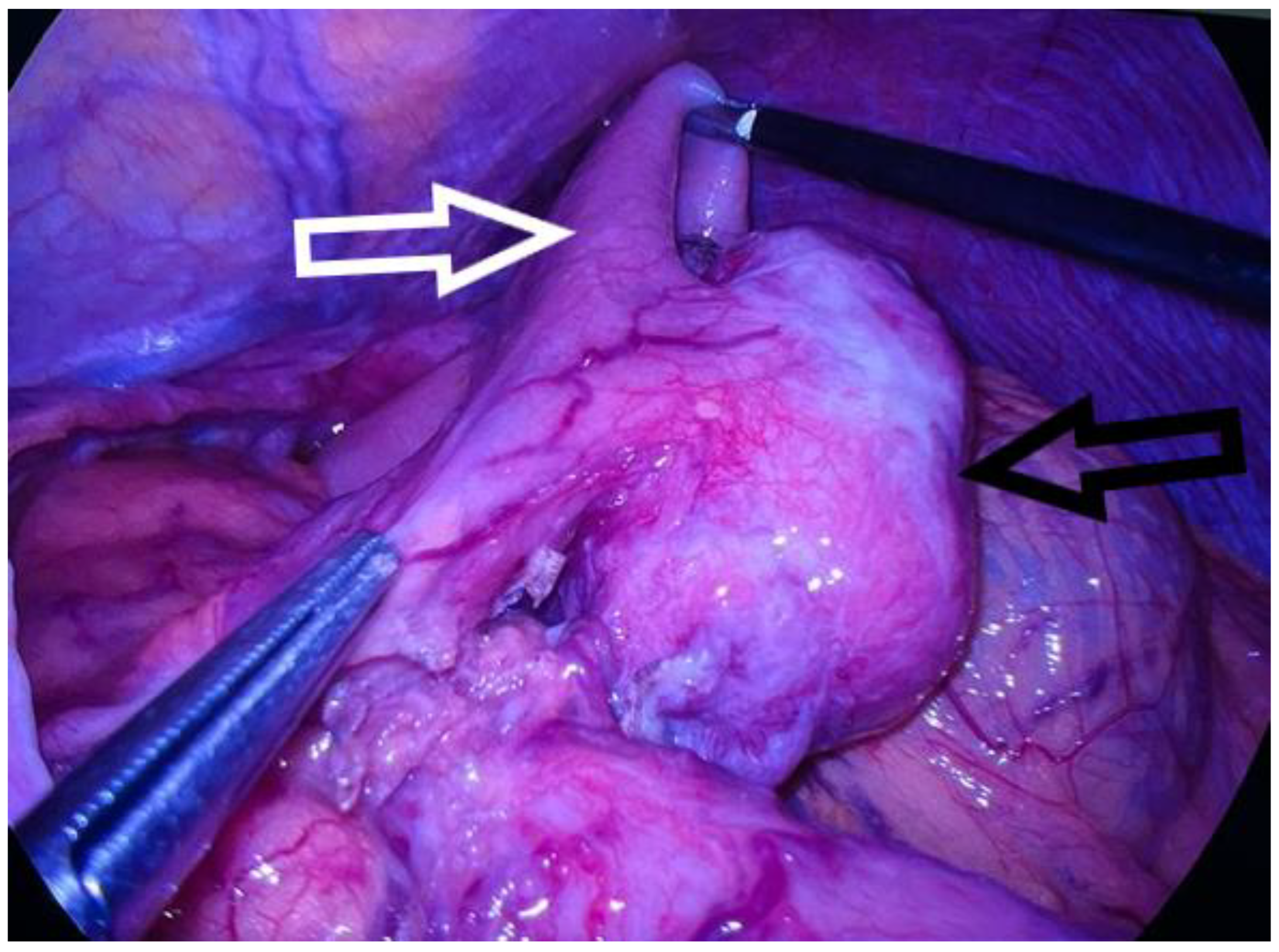 Diagnostics 13 02073 g003