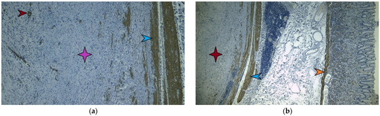 Diagnostics 13 02073 g007