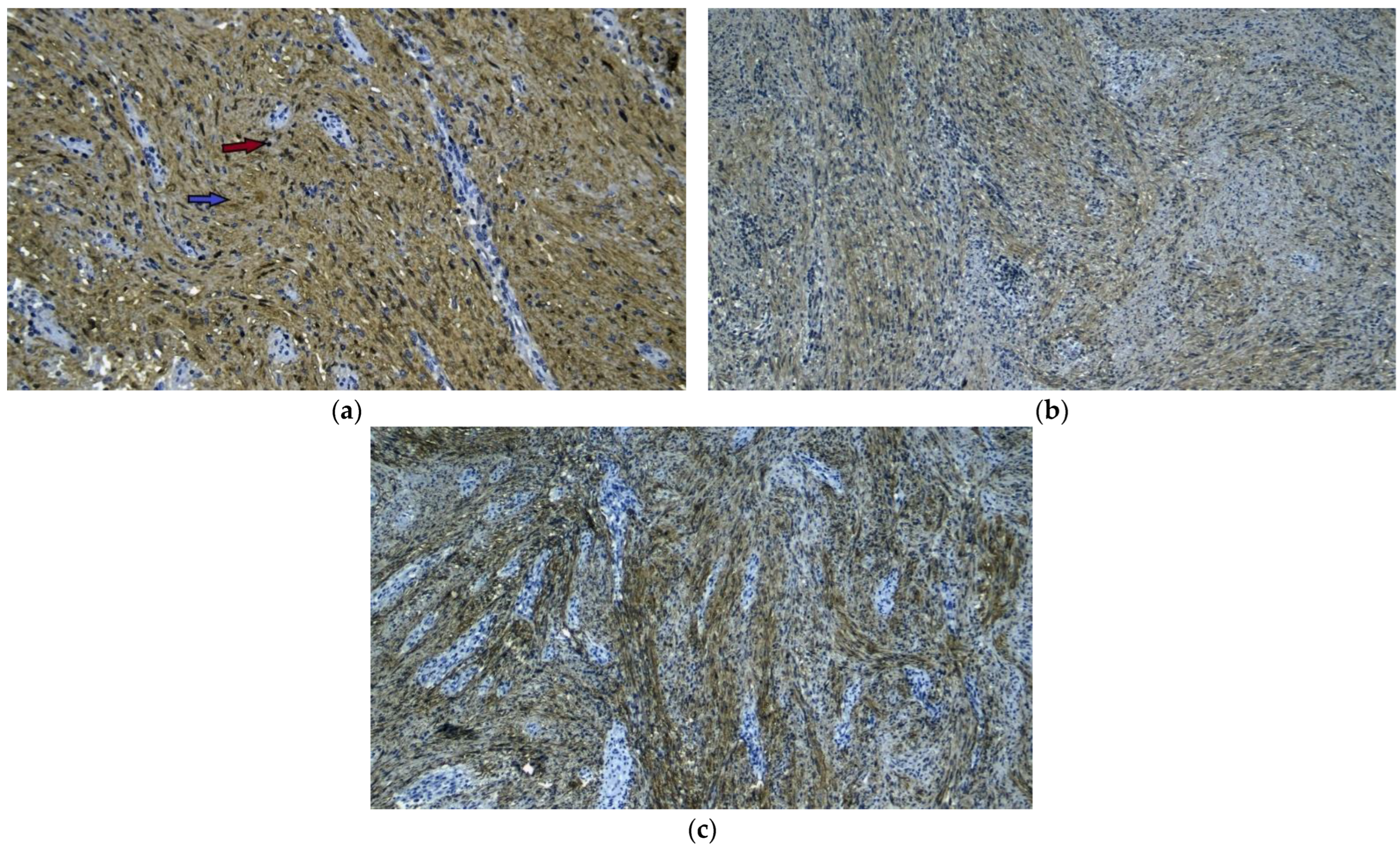 Diagnostics 13 02073 g008