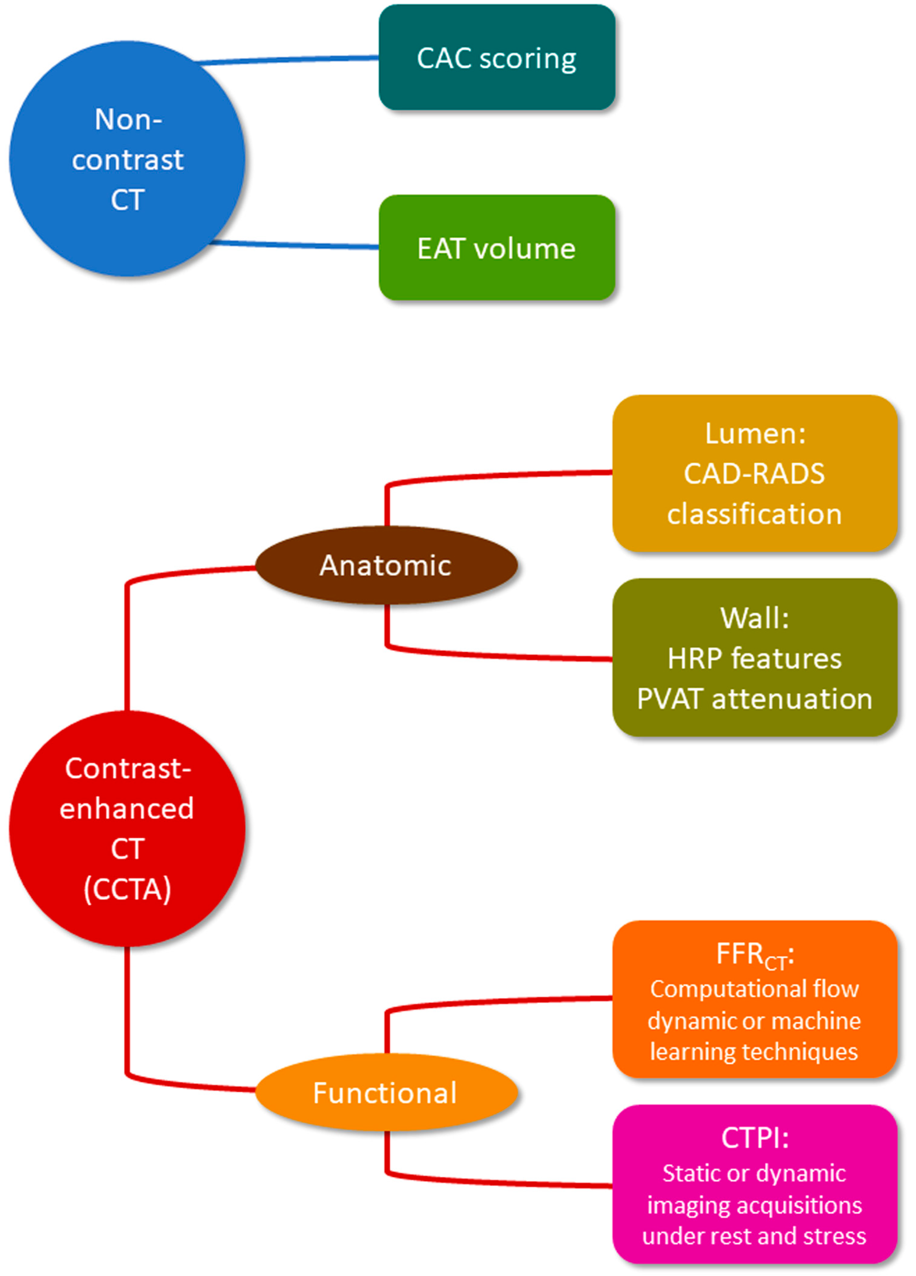 Diagnostics 13 02074 g002