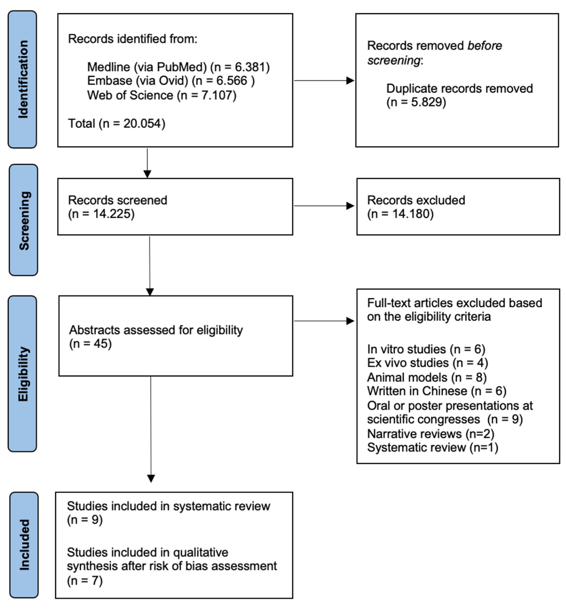 Diagnostics 13 02075 g001