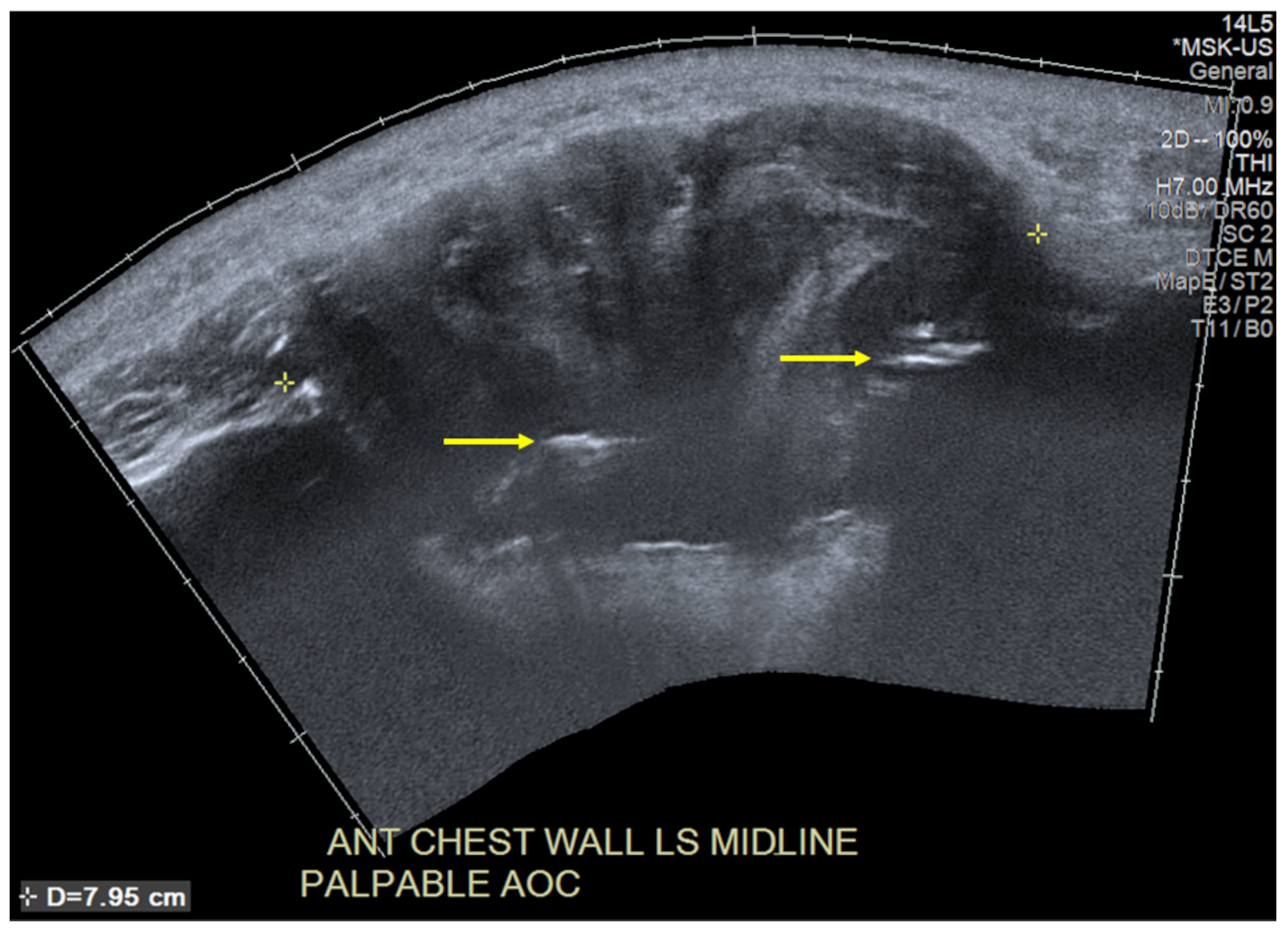 Diagnostics 13 02082 g002