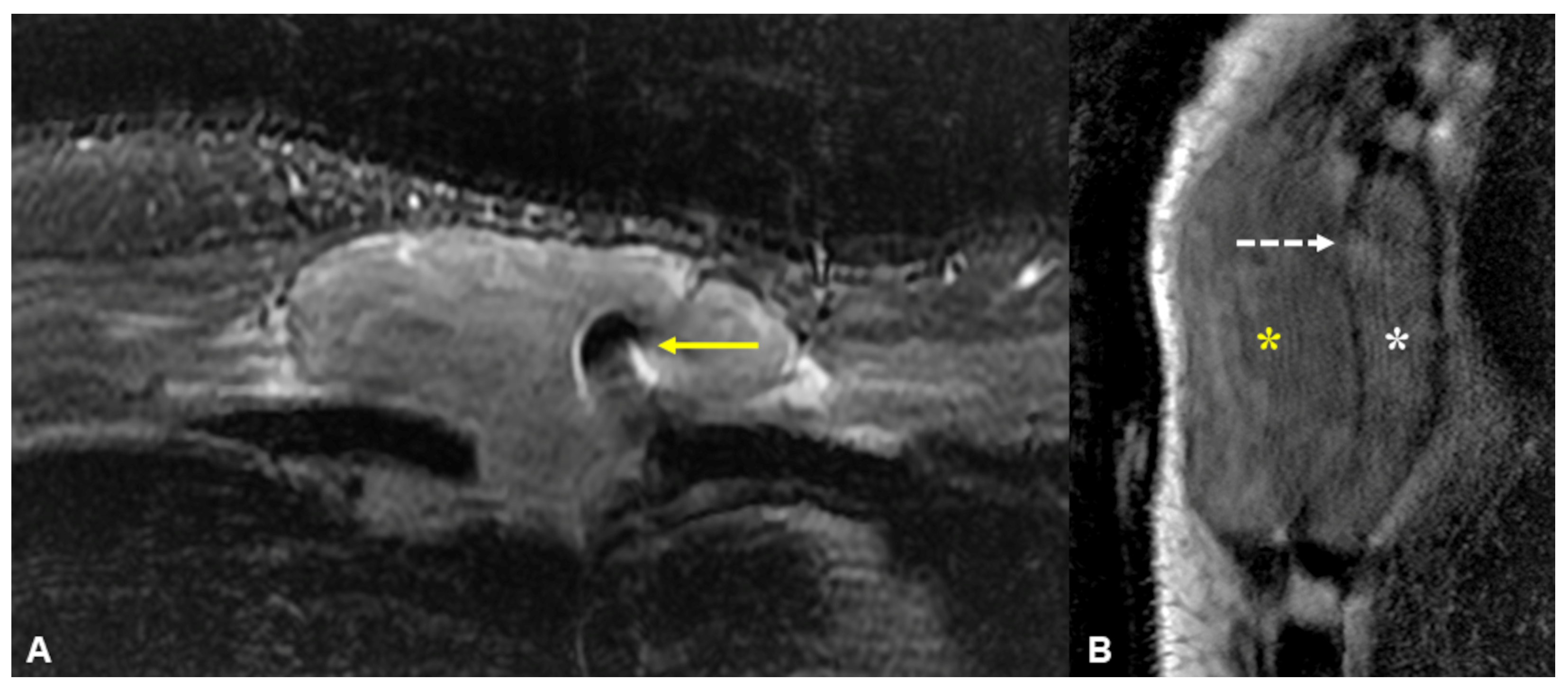 Diagnostics 13 02082 g003