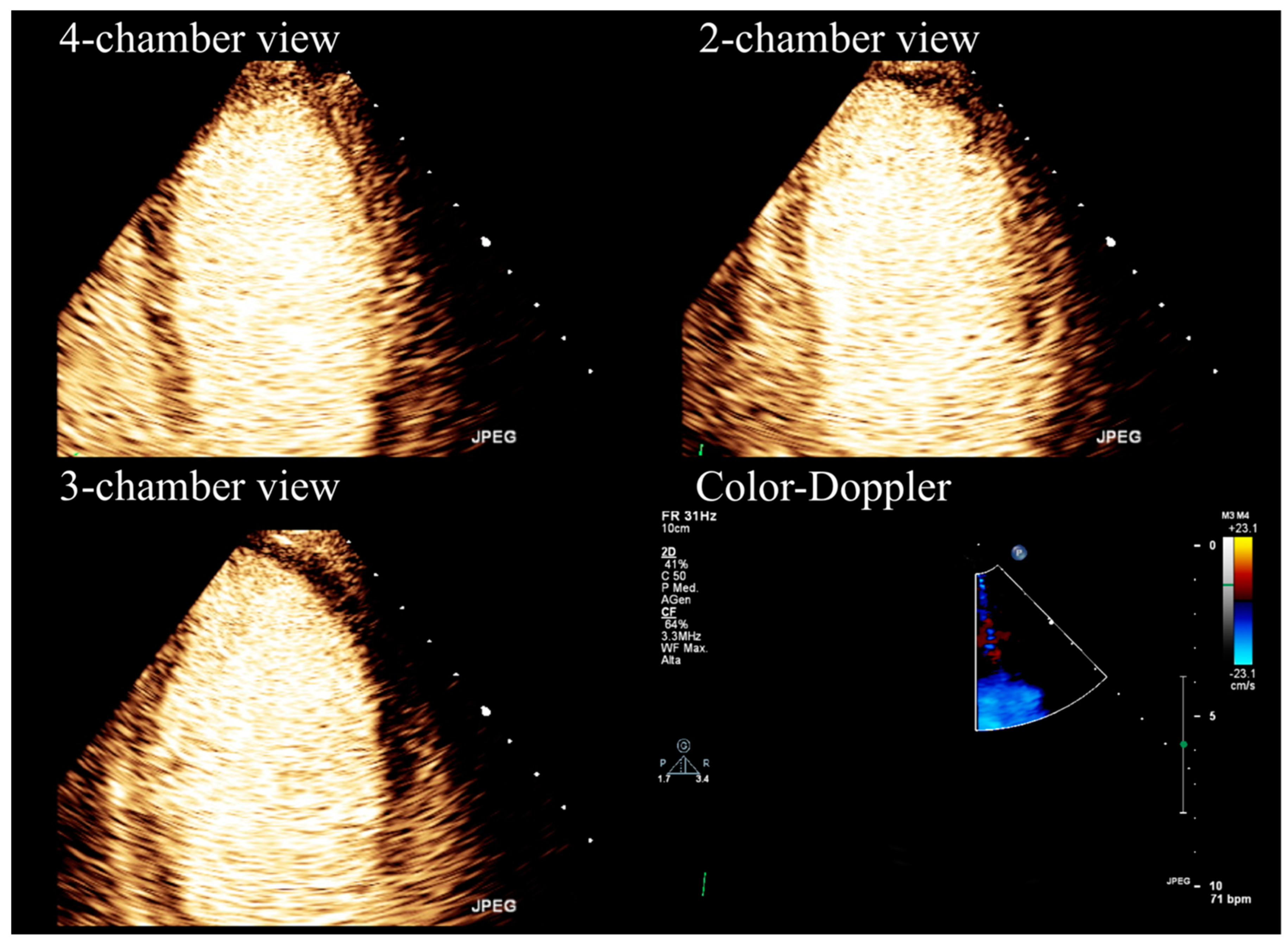 Diagnostics 13 02083 g001
